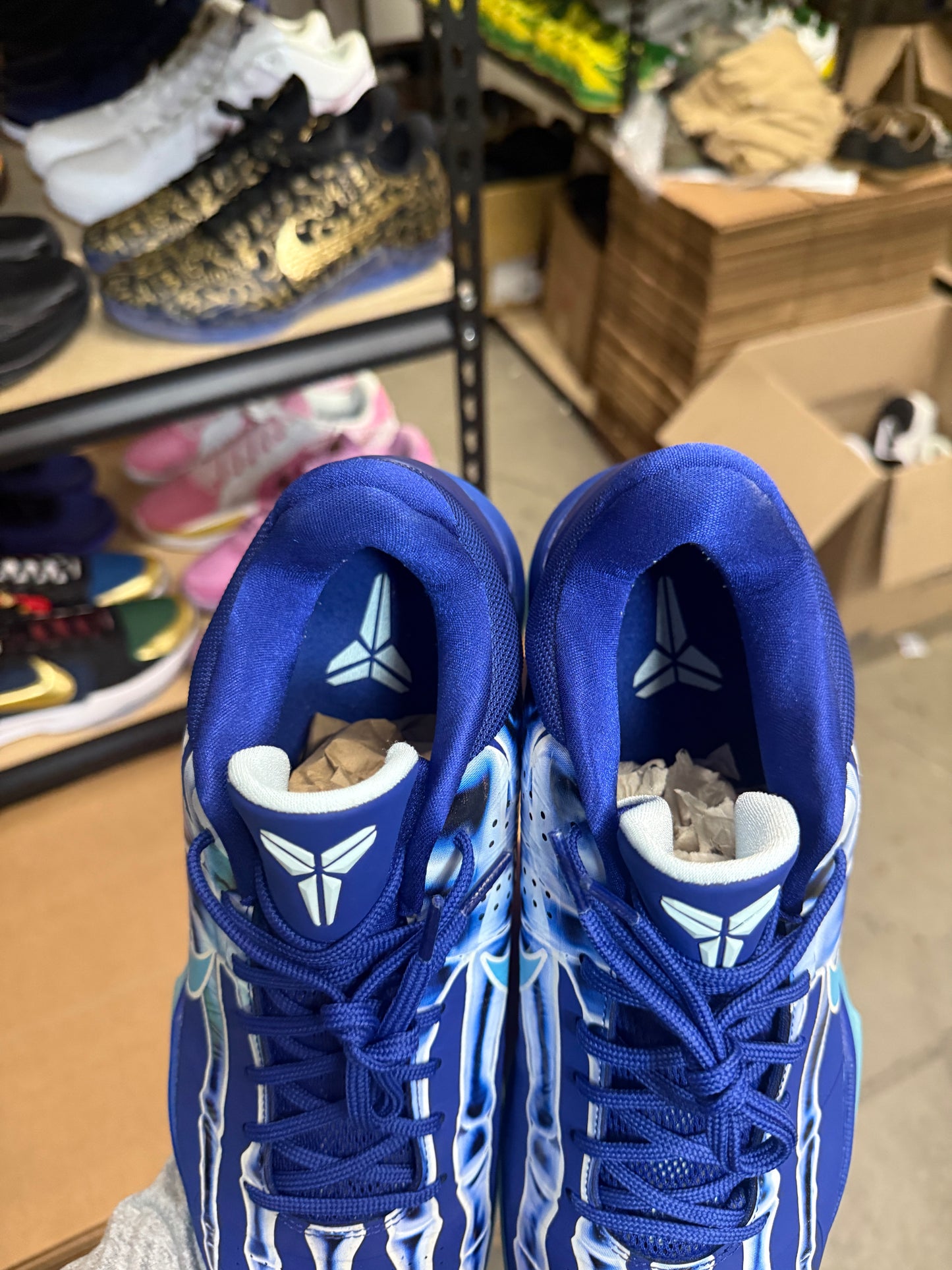 Kobe 5 X-Ray (11.5)