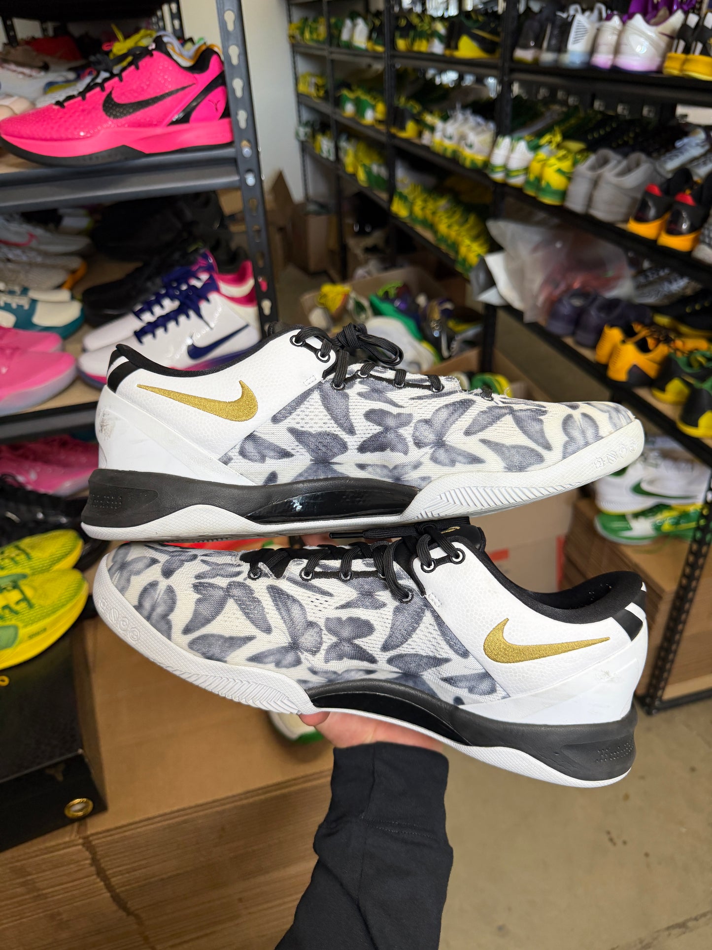 Kobe 8 Mambacita (14)