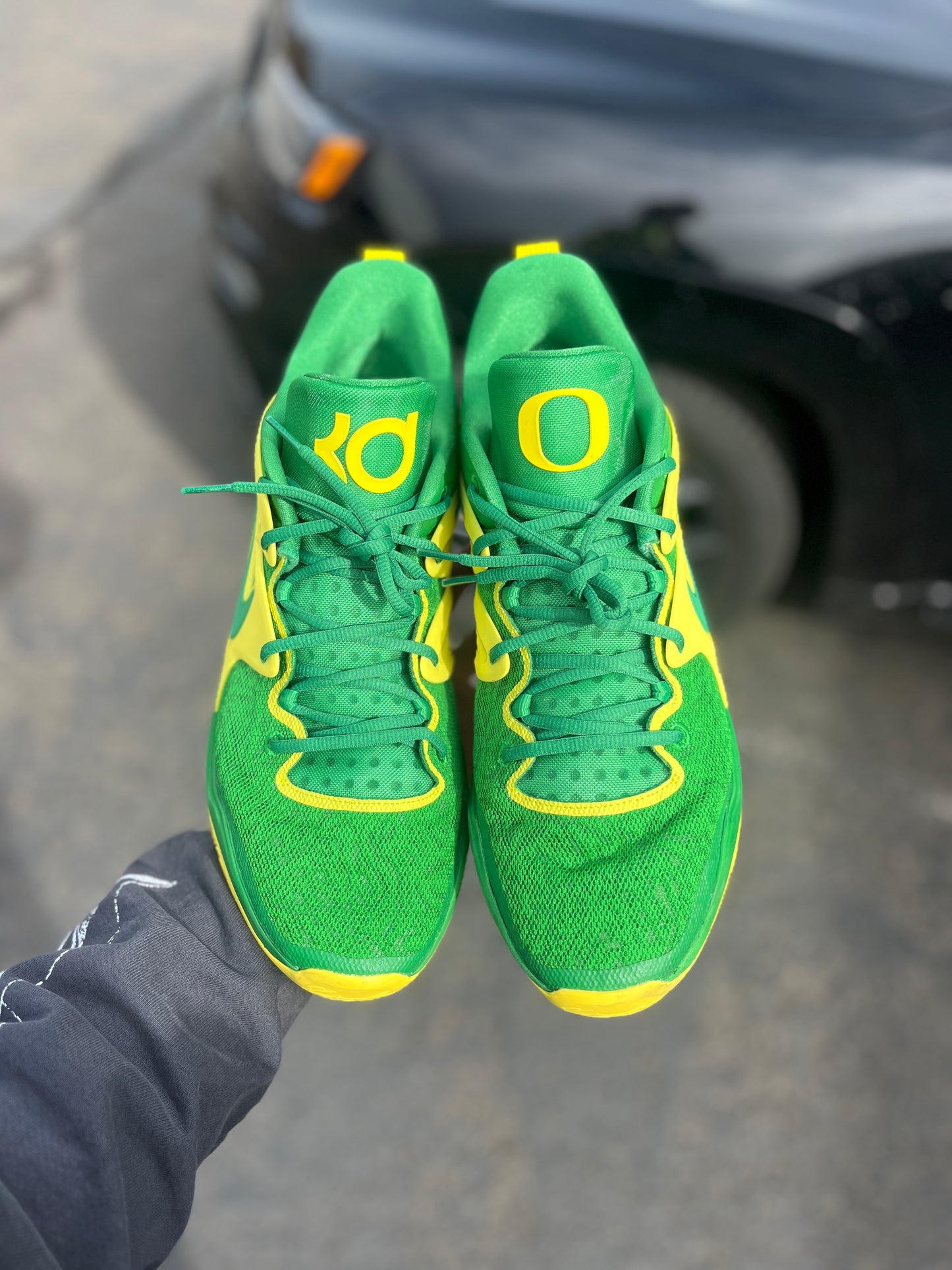 Kd15 Oregon PE (size 15)