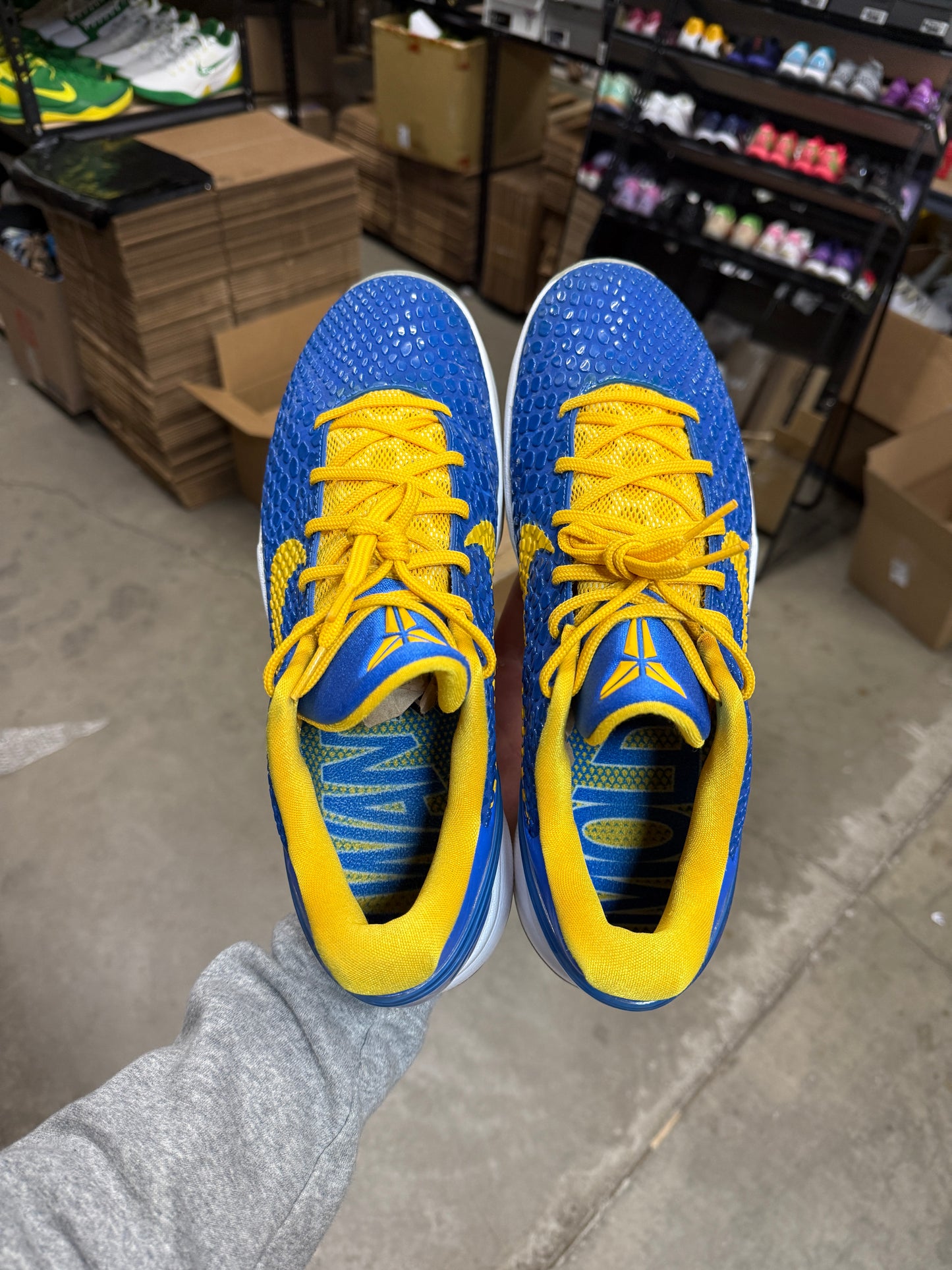 Kobe 6 Trevor Ariza PE (13.5)