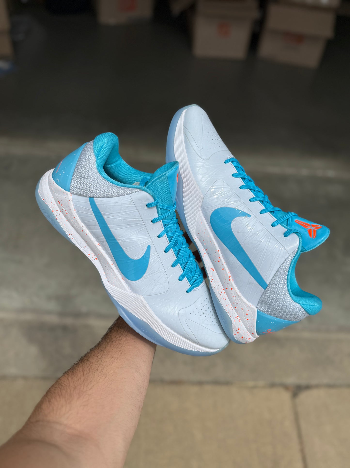 Tobias Harris PE (size 15)