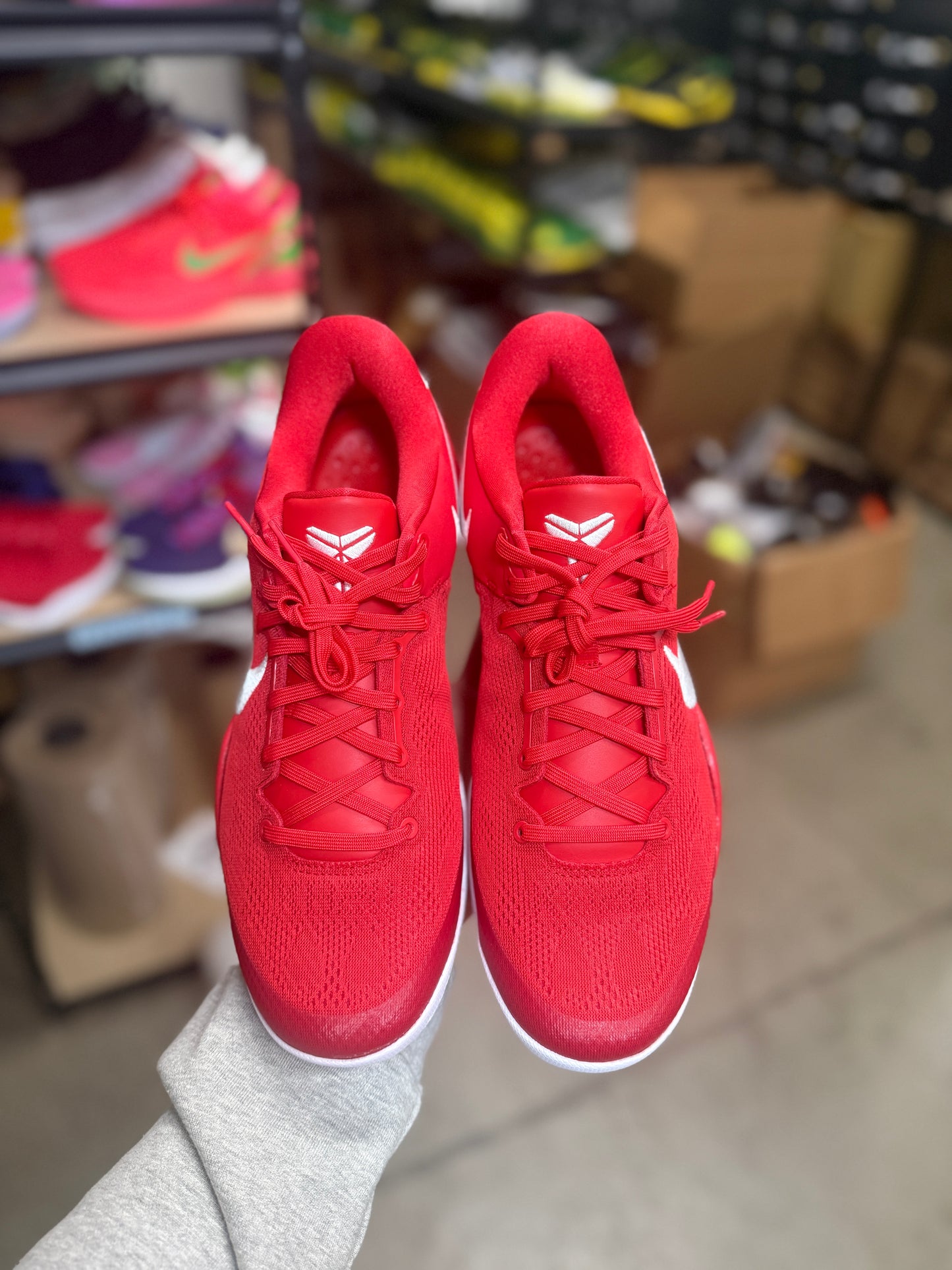 Kobe 8 (11.5)