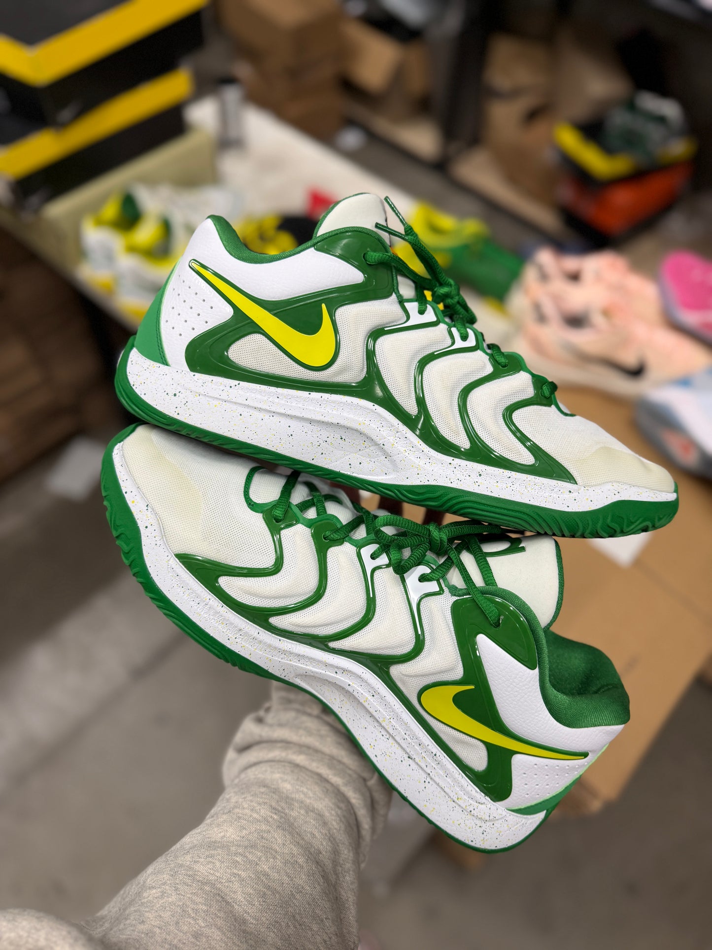 Kd17 Oregon PE (size 15)