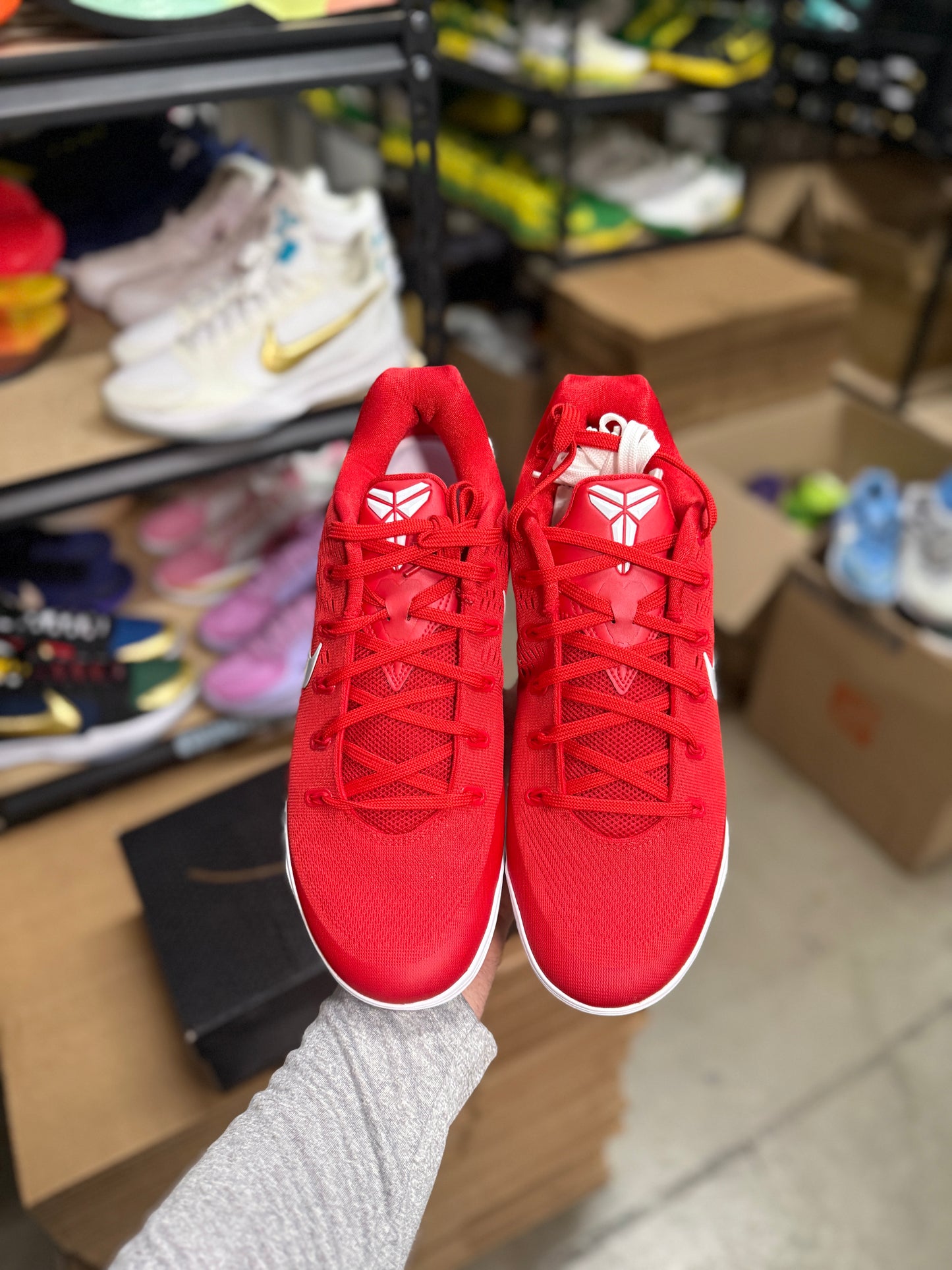 Kobe 9 TB