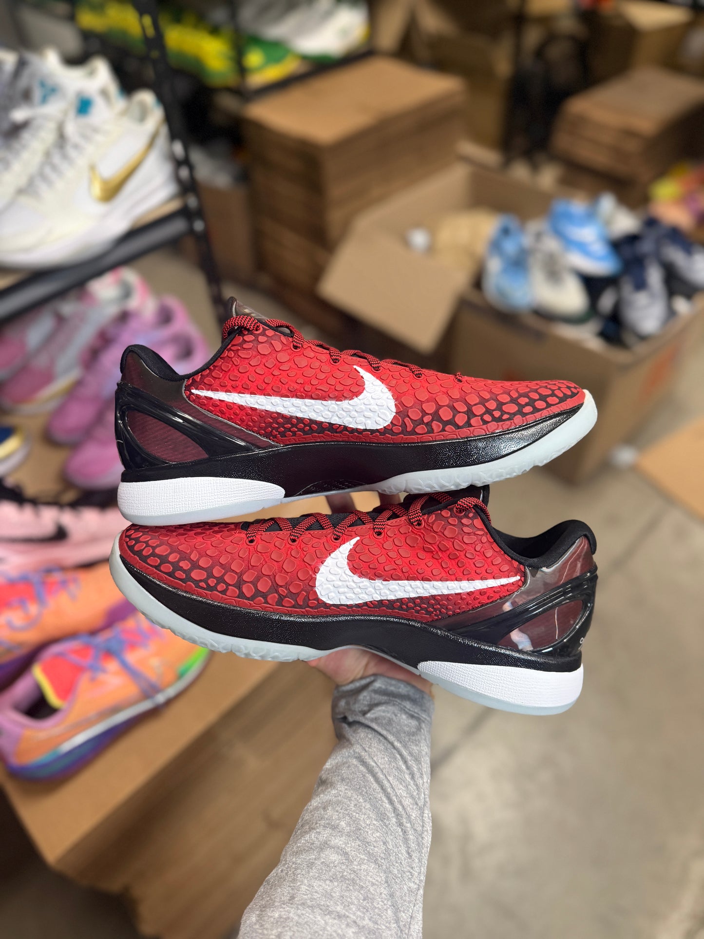 Kobe 6 Allstar (13.5)