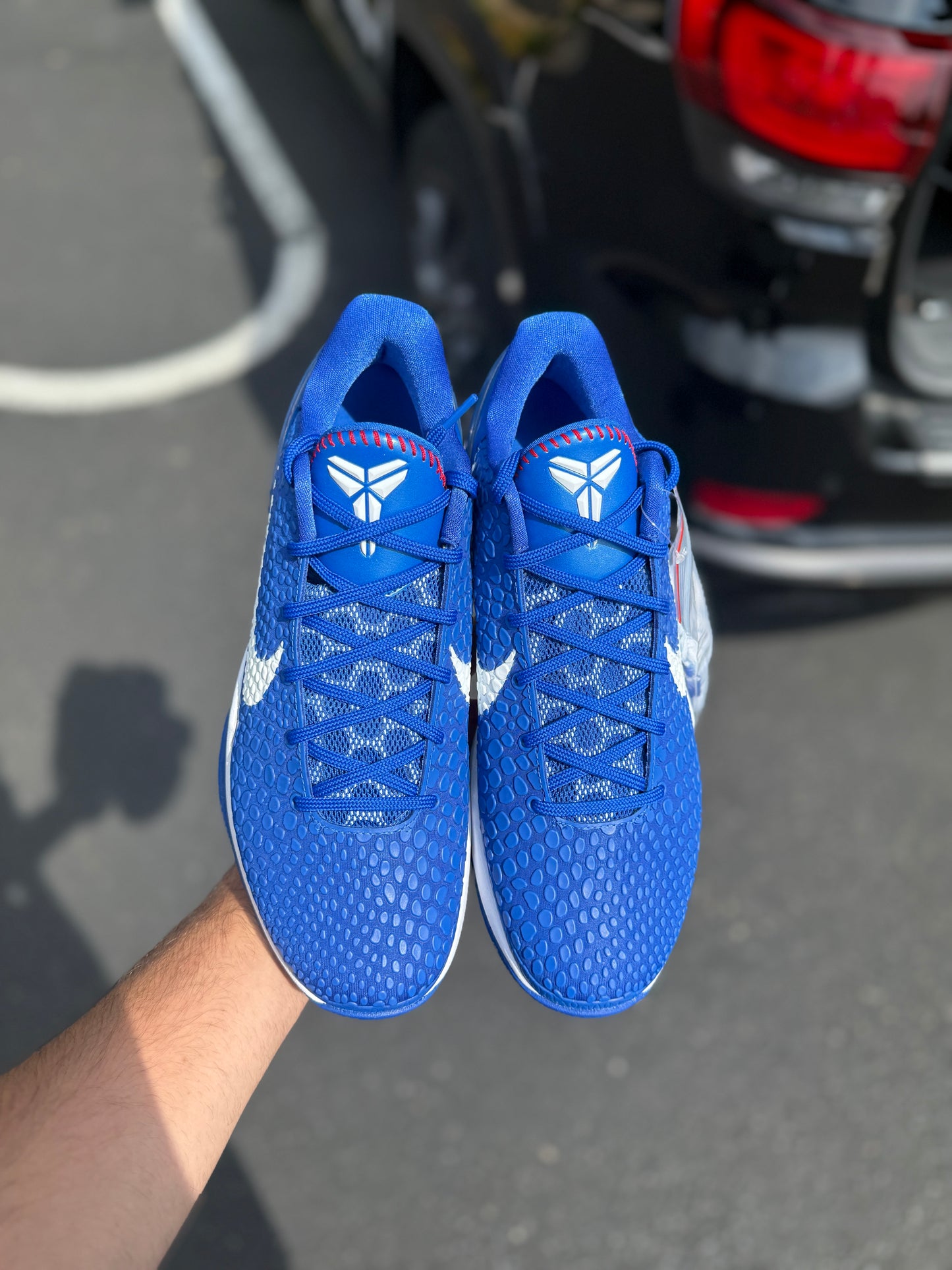 Dodger 6 (9.5,11.5)