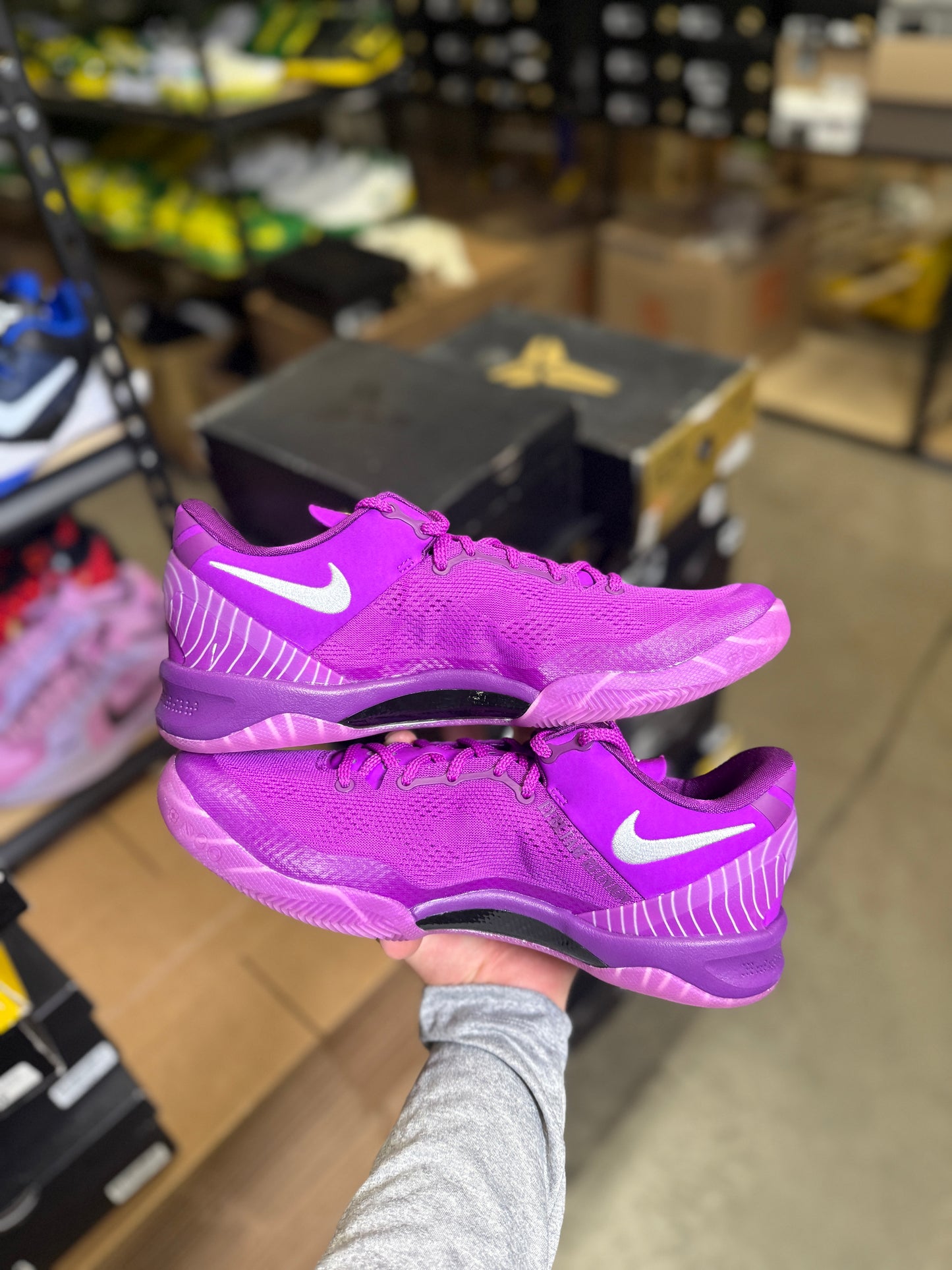 Kobe 8 Eybl (10)