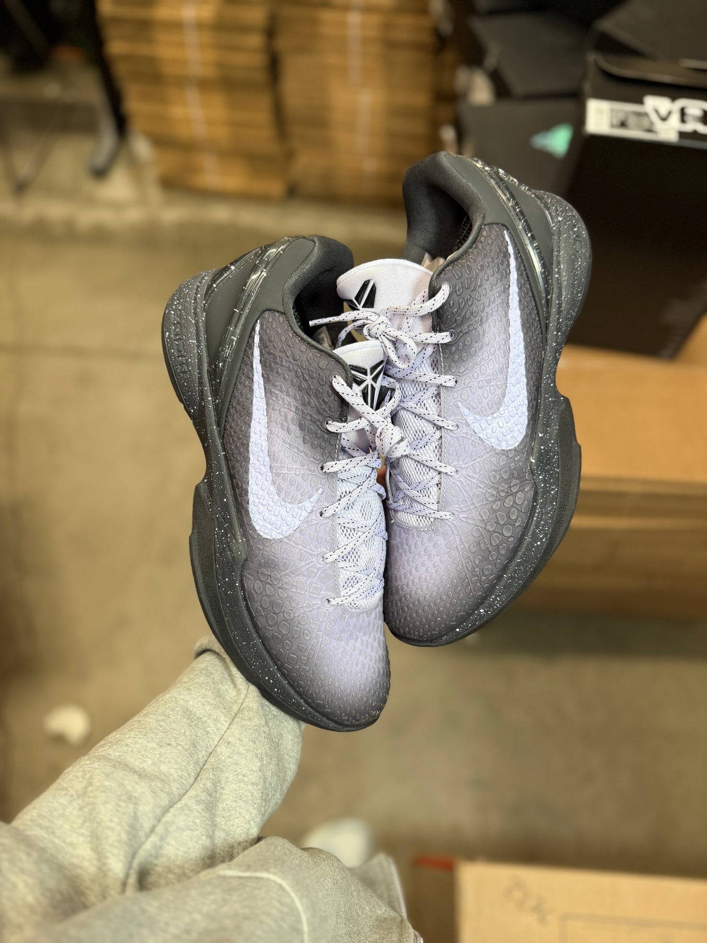 Kobe 6 Eybl (11.5)