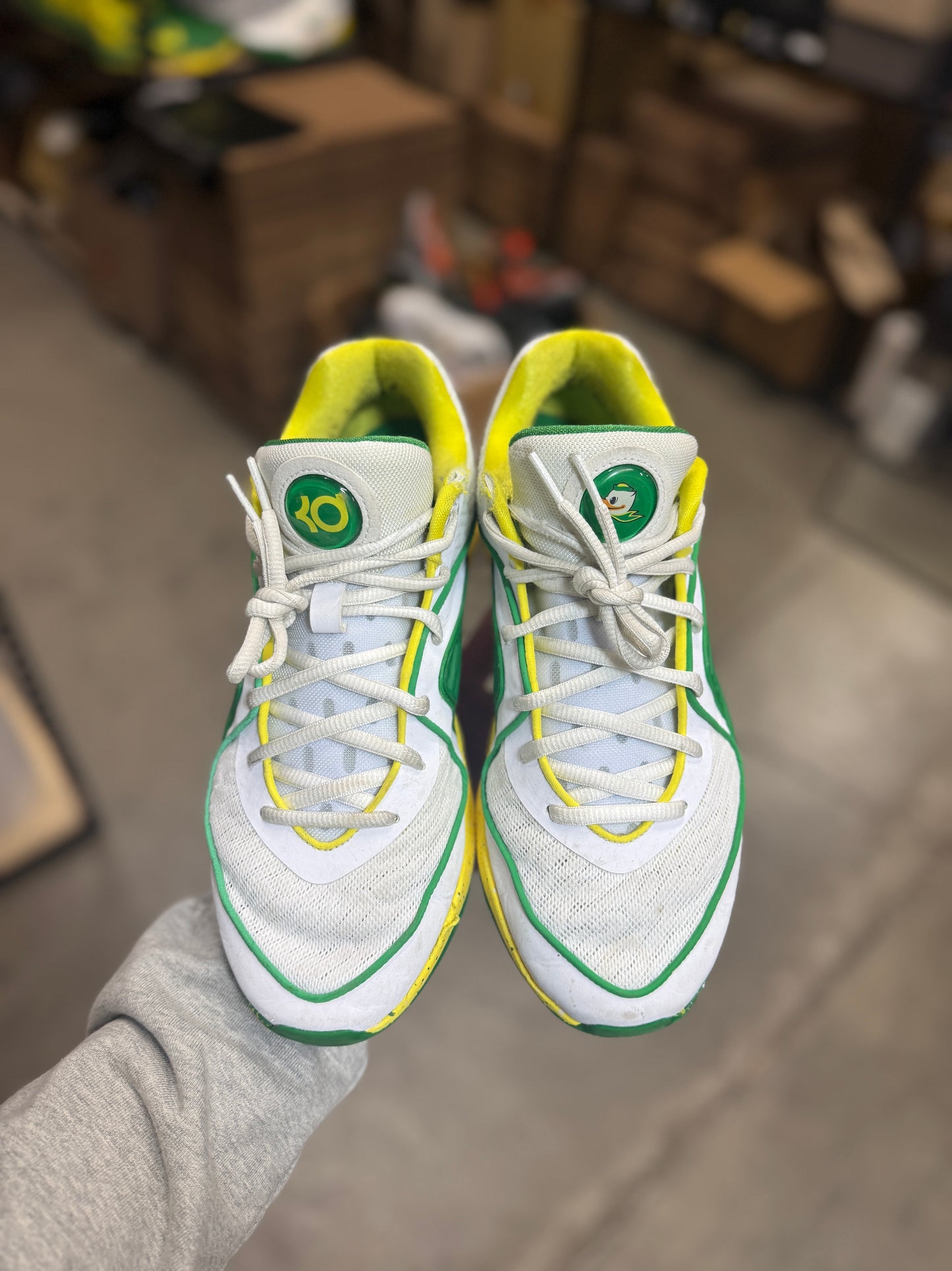 Kd Oregon PE (9)