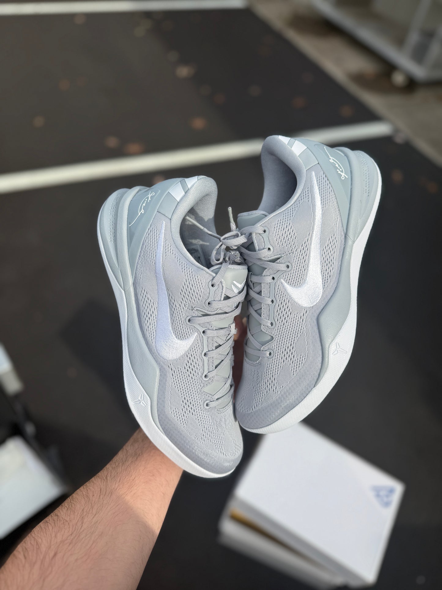 Wolf Grey 8s (size 12)