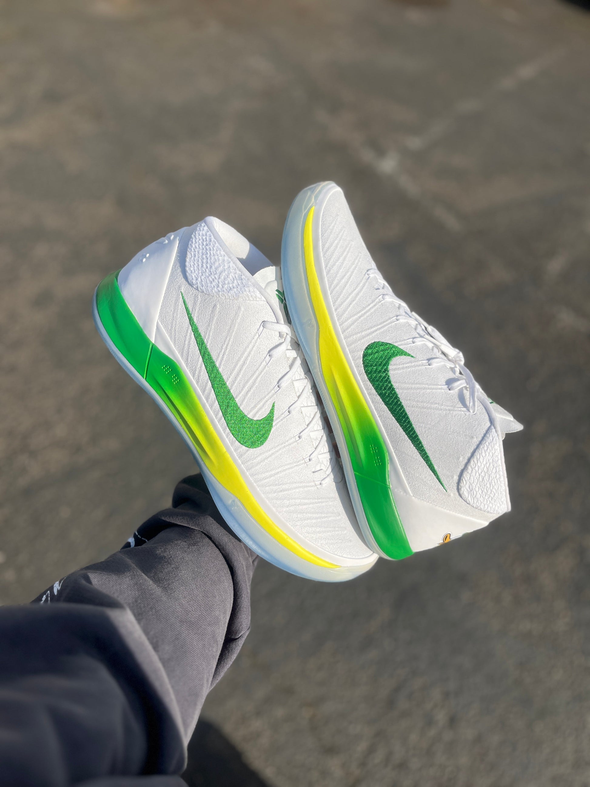 Oregon PE AD (size 17)