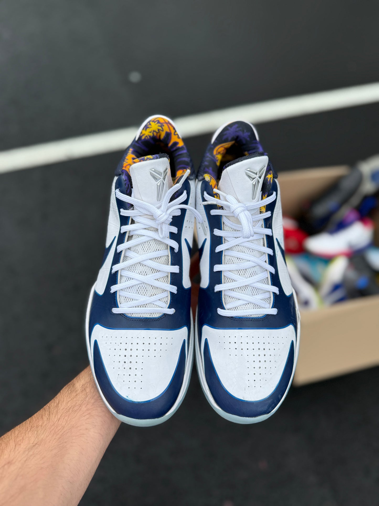 Trevor Ariza 5 PE (size 15)