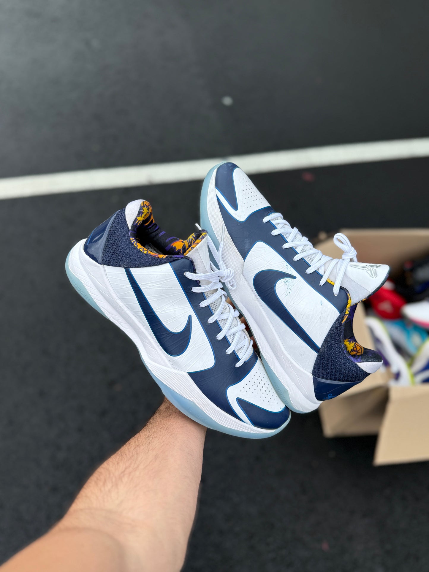 Trevor Ariza 5 PE (size 15)