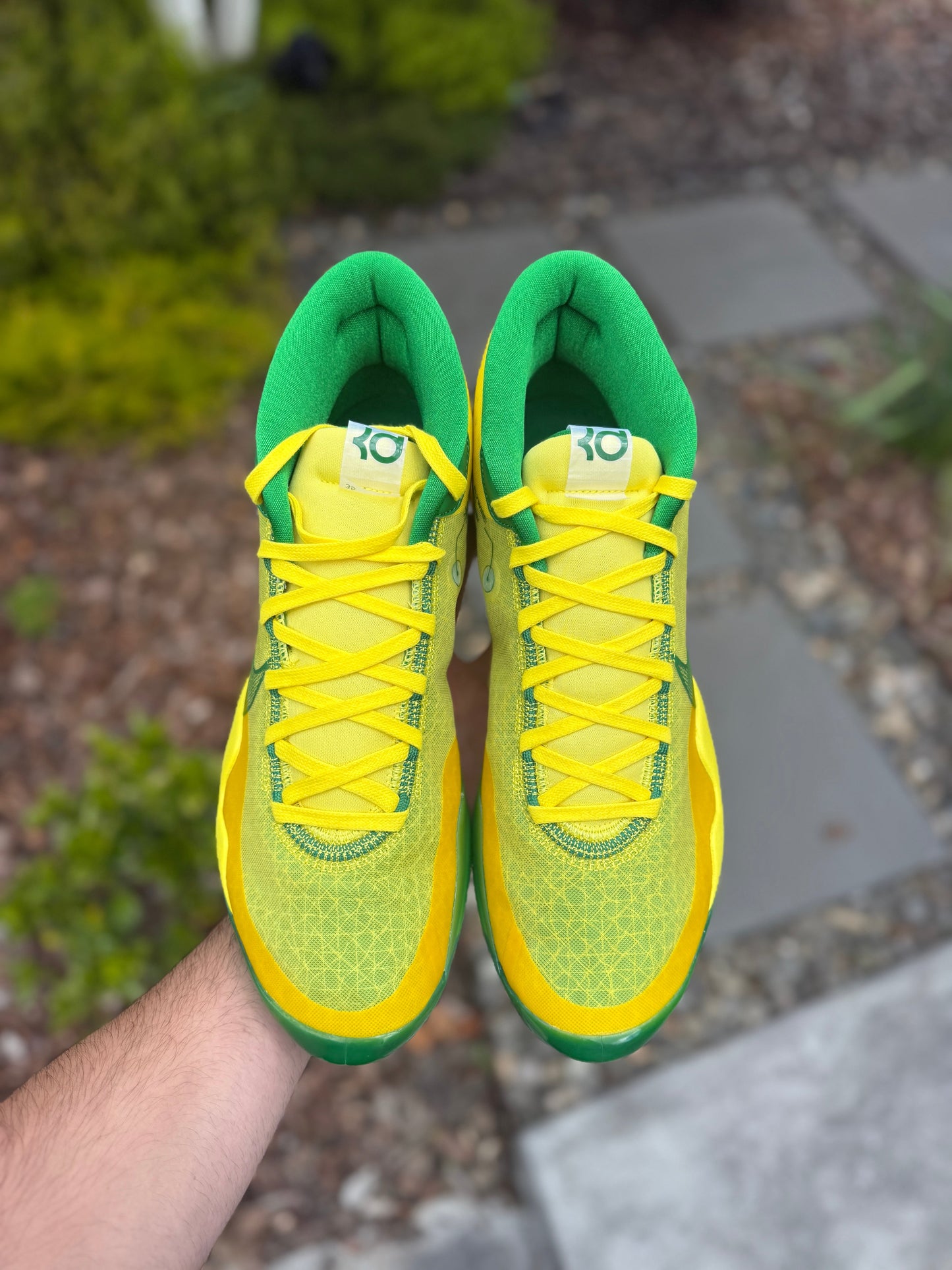 Kd12 Oregon PE (size 14)