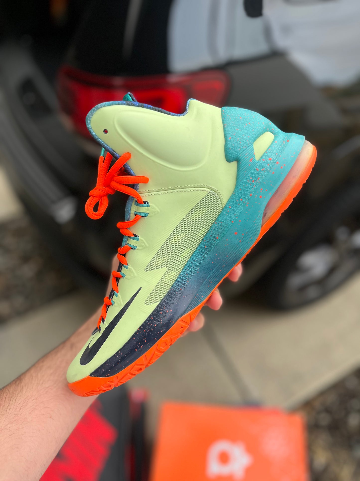 Kd5 Allstar area 72 (size 10.5)