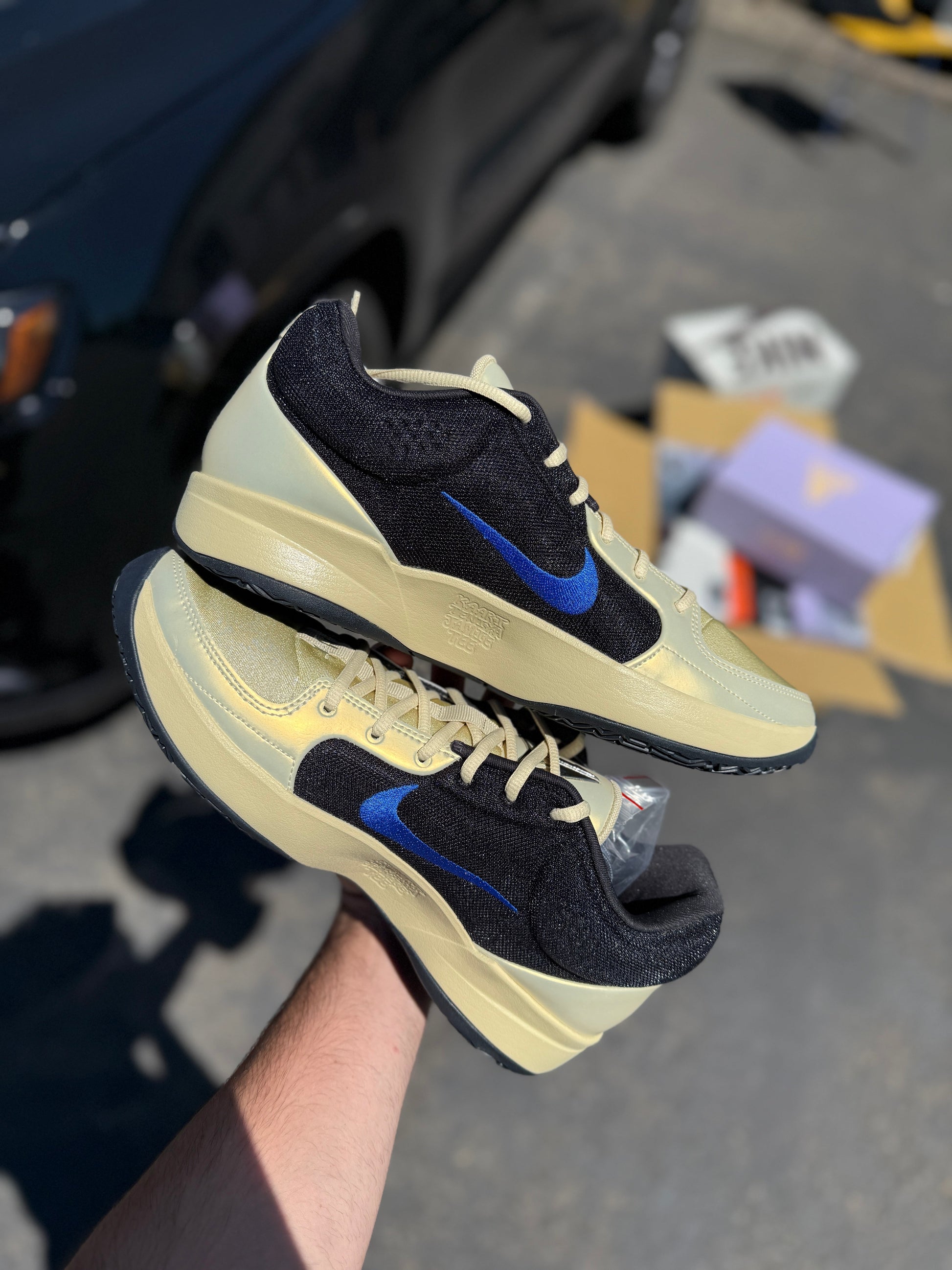 Eybl ja 2 (11 / 11.5 / 13 / 13.5 / 16)