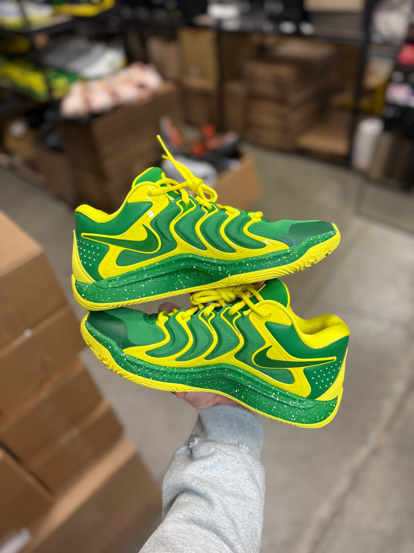Kd17 Oregon PE (7.5)