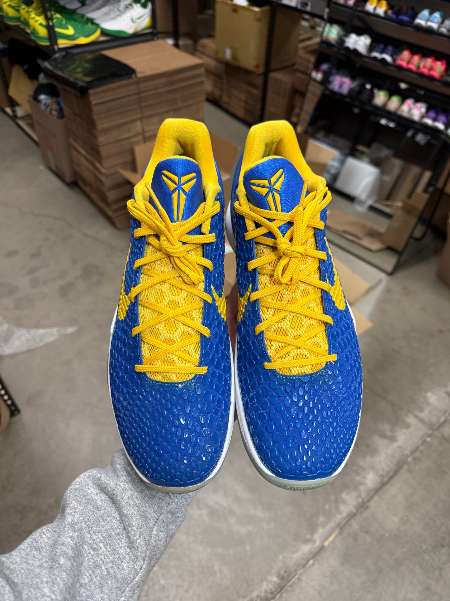 Kobe 6 Trevor Ariza PE (13.5)
