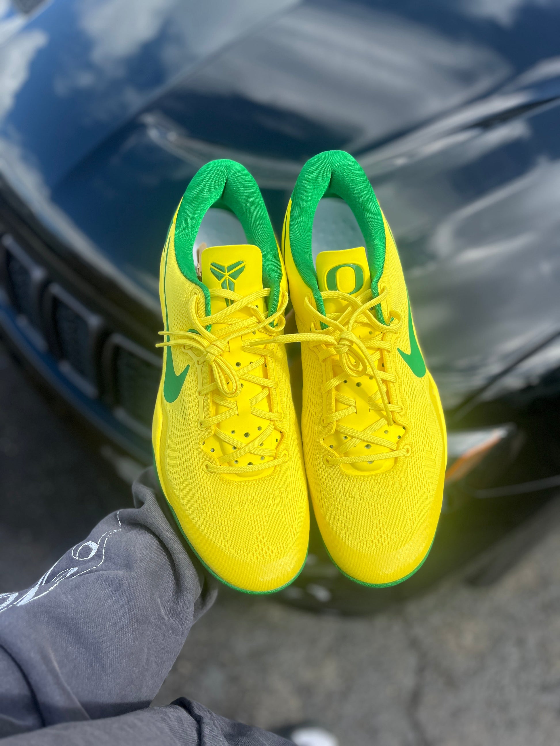 Oregon PE (7.5 / 8.5 / 12 / 14)