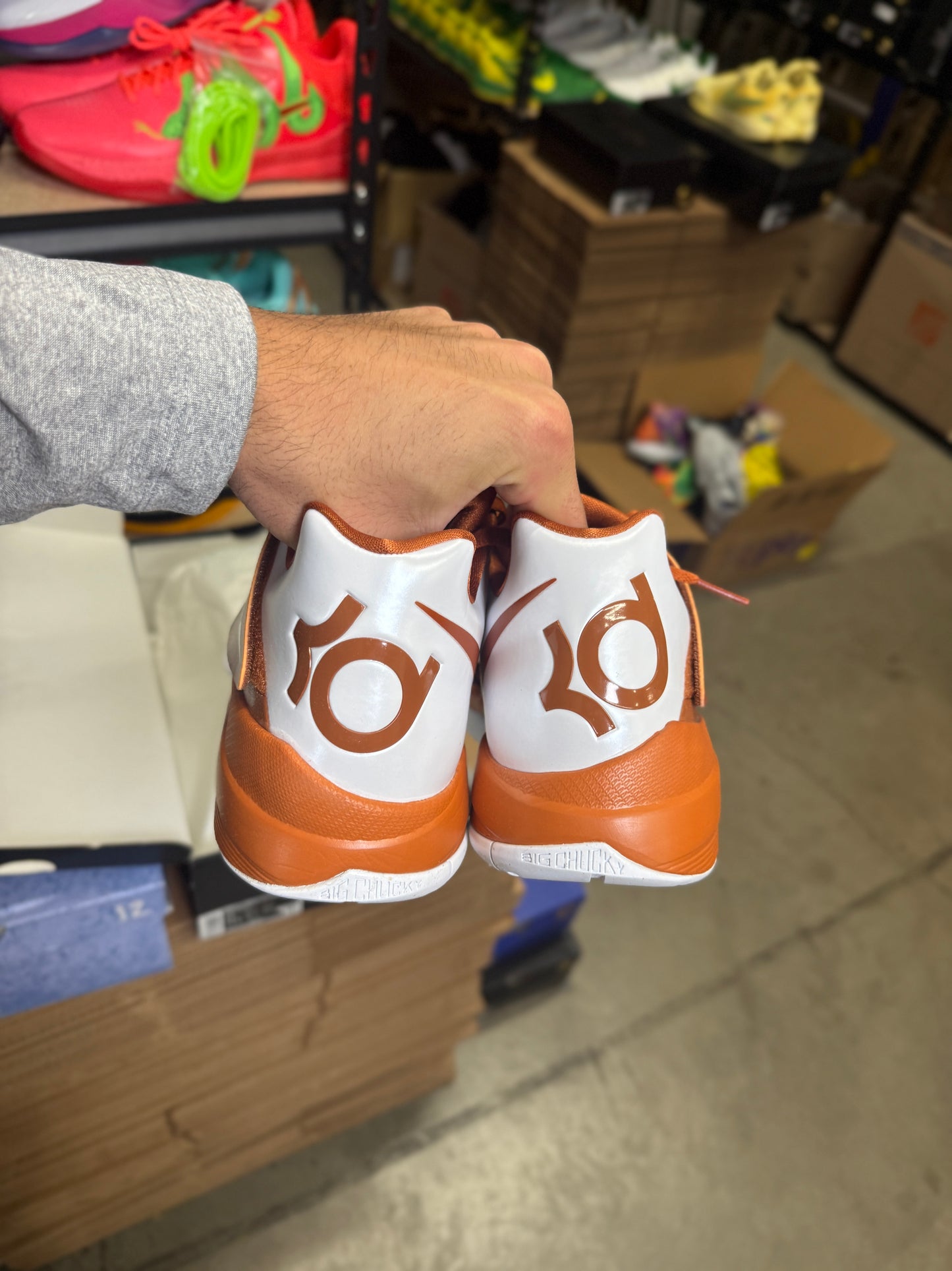 Kd4 Longhorns (13)