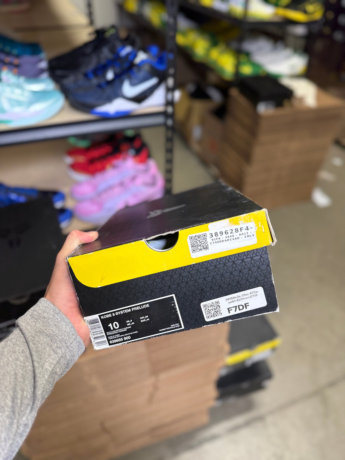 Kobe 8 Prelude (10)
