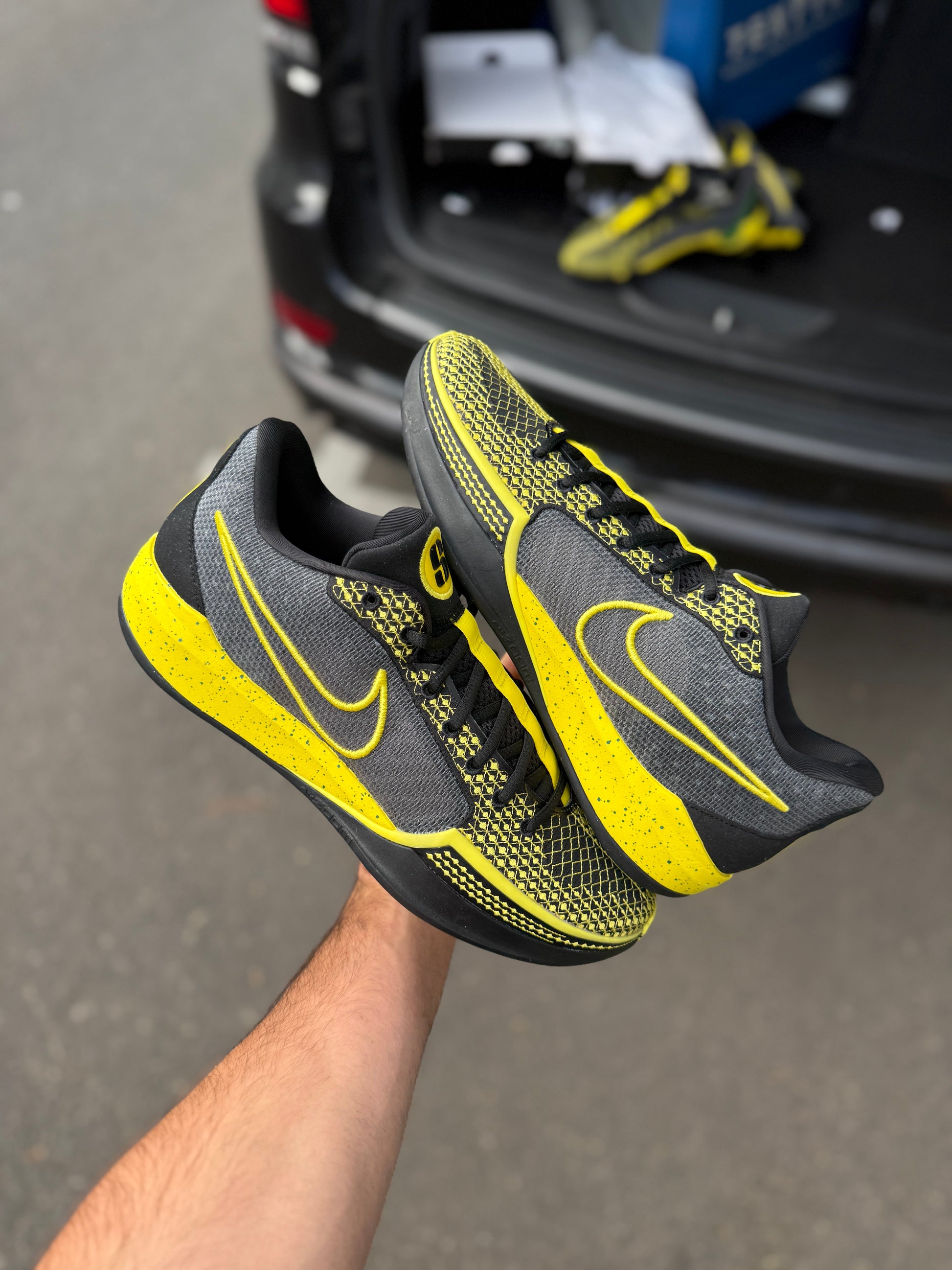 Sabrina 1 Oregon PE (10.5 / 12)