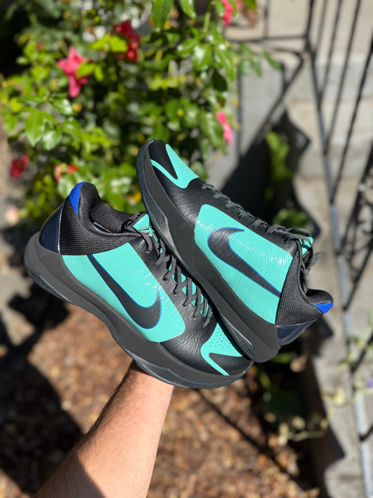 Academy 5 PE (8,9.5,11,13.5,14)