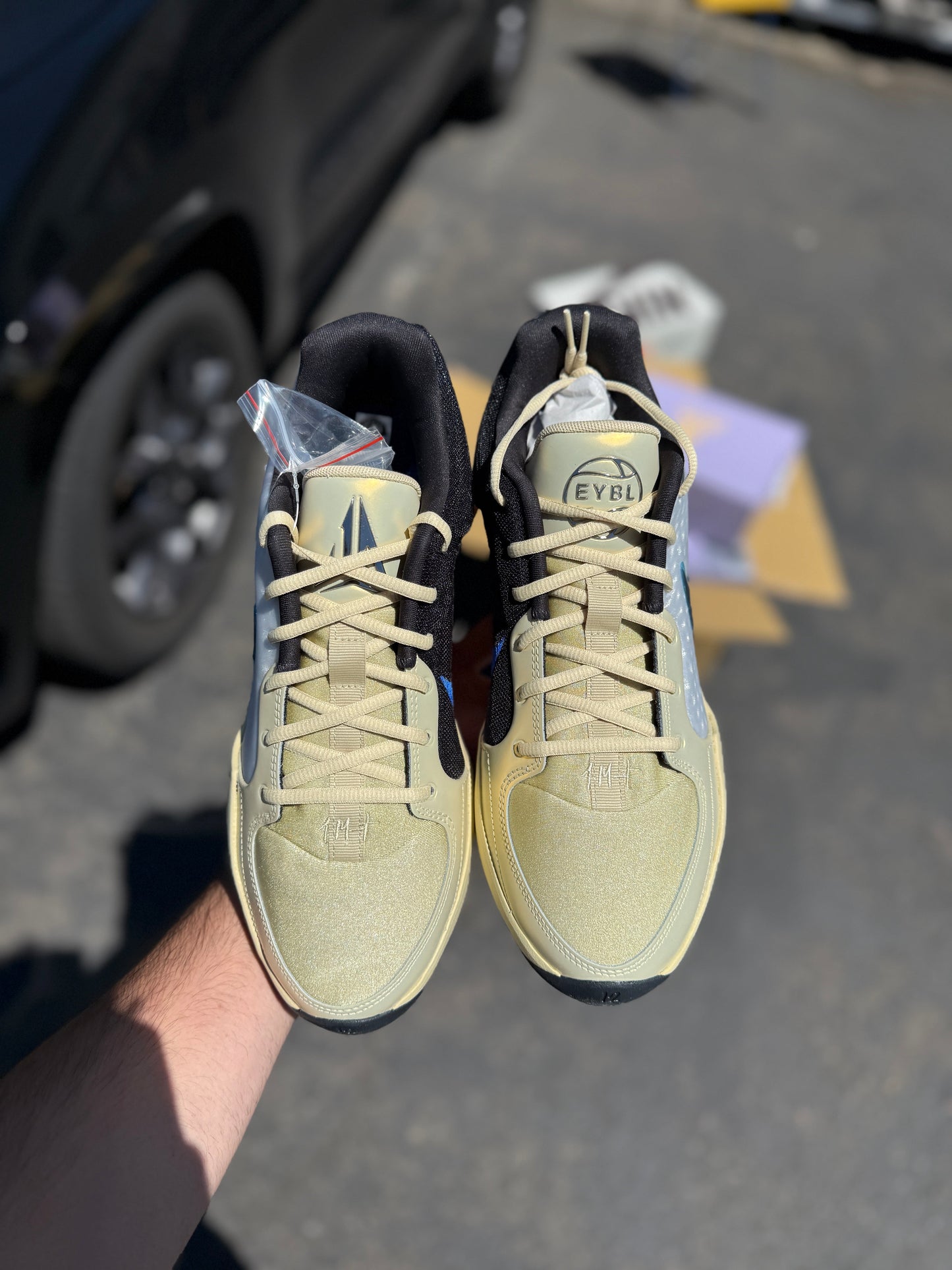 Eybl ja 2 (11 / 11.5 / 13 / 13.5 / 16)