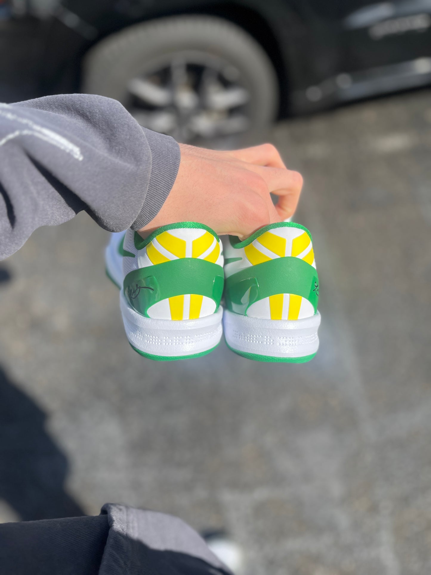 Oregon PE 8 (7.5,9,11.5)
