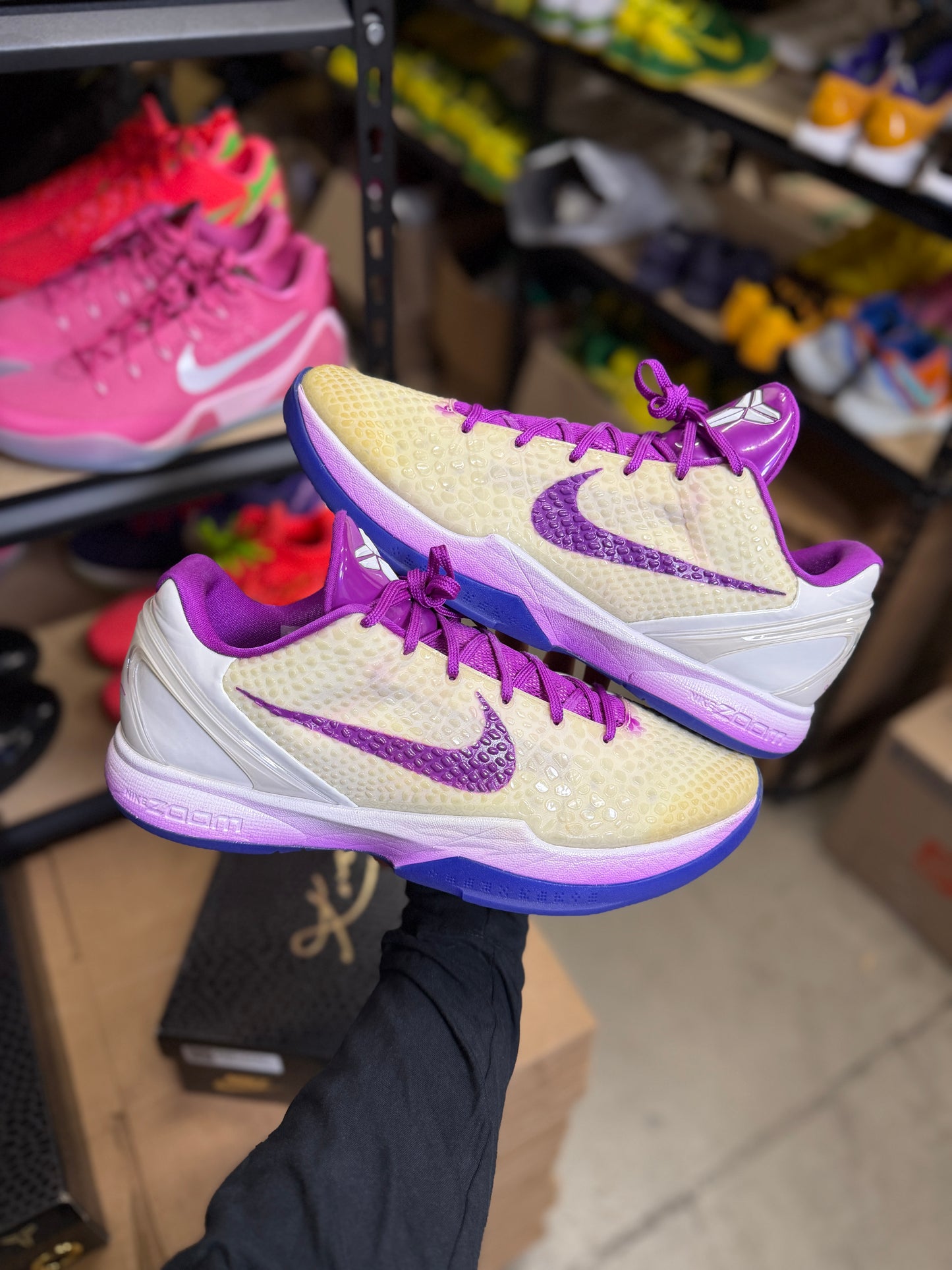 Kobe 6 Trevor Ariza PE (13.5)