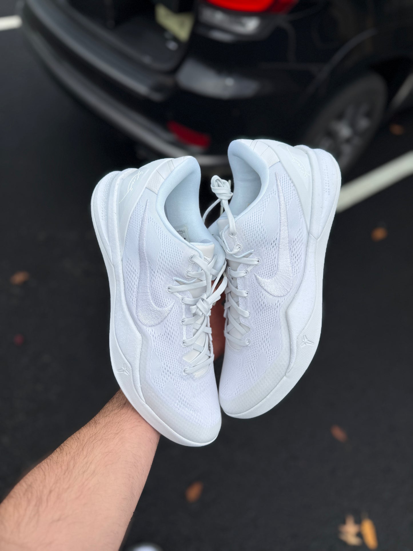 Halo 8s (12.5,13,13.5)