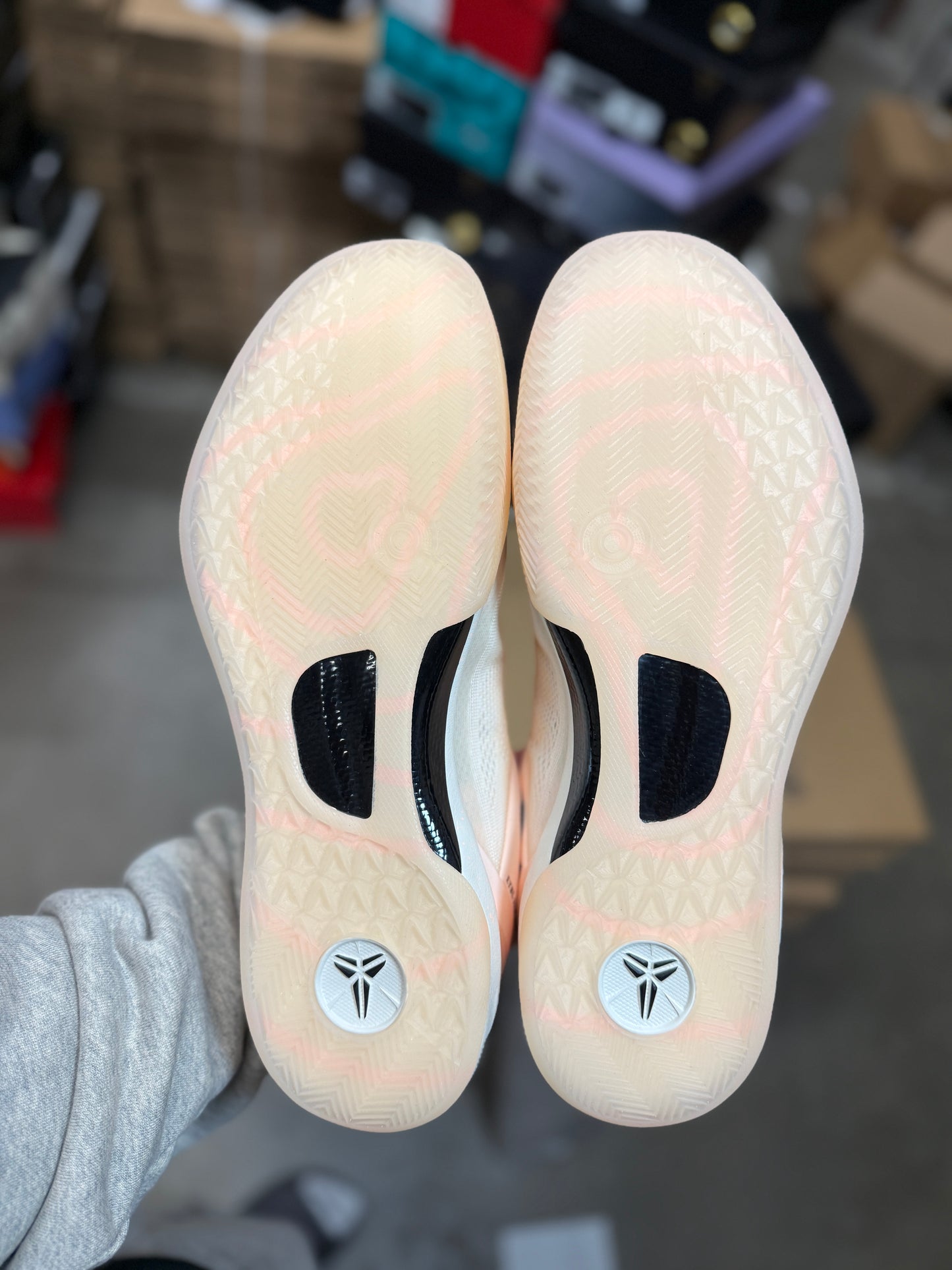 Kobe 8 Eybl Skills Academy PE
