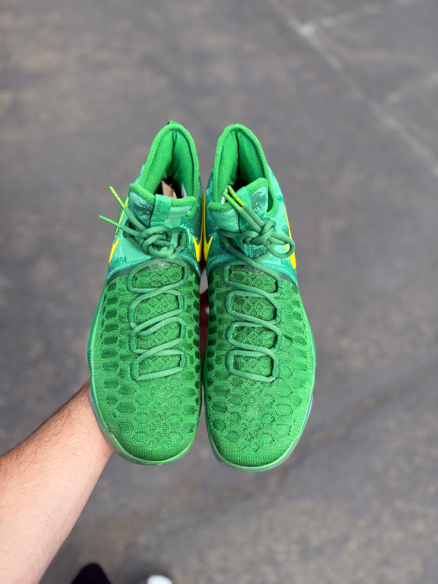 Kd 9 Oregon PE (size 12.5)