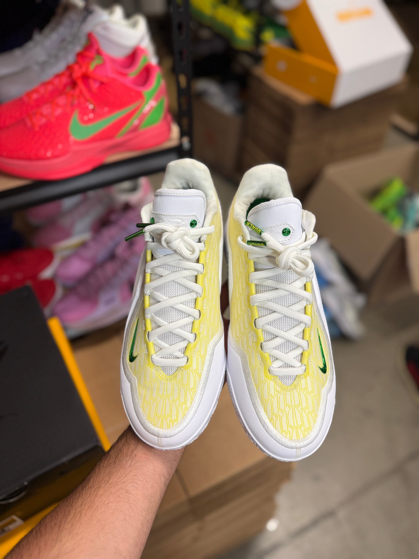 Bron Oregon PE (10.5)