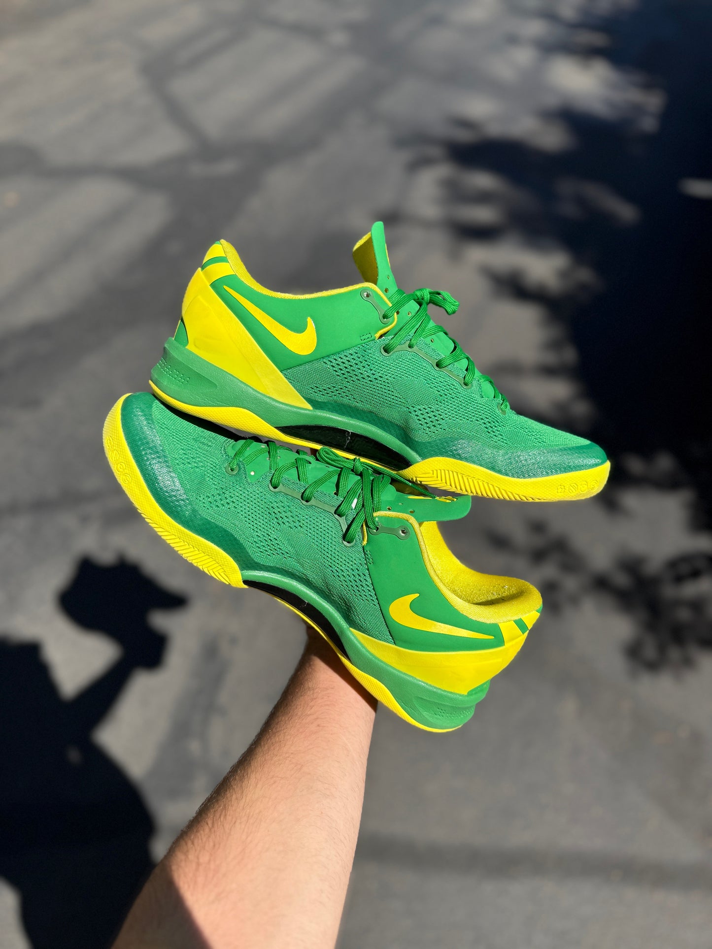 Oregon 8 (size 13)