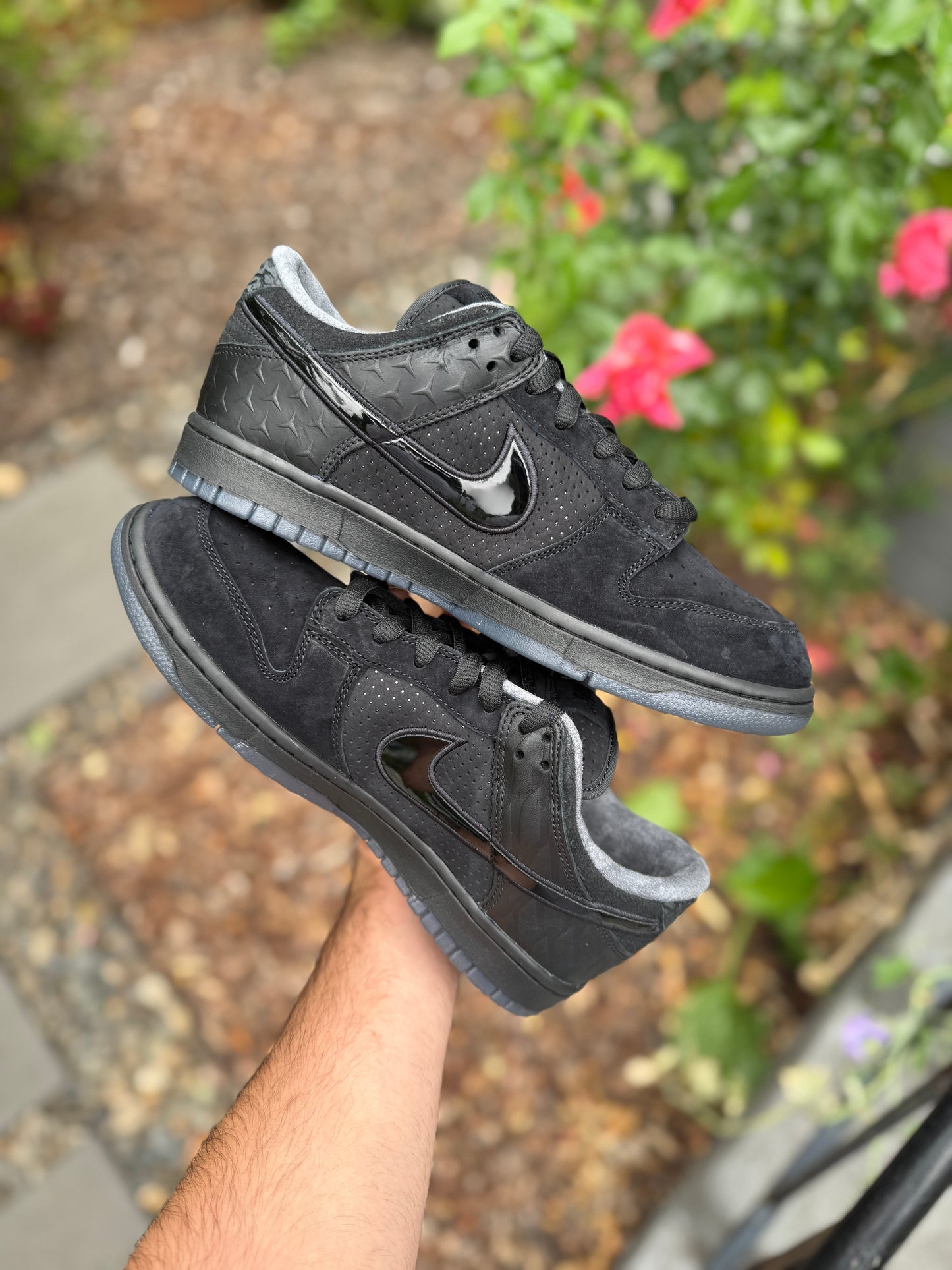 Dunk What The Oregon PE (size 9.5)