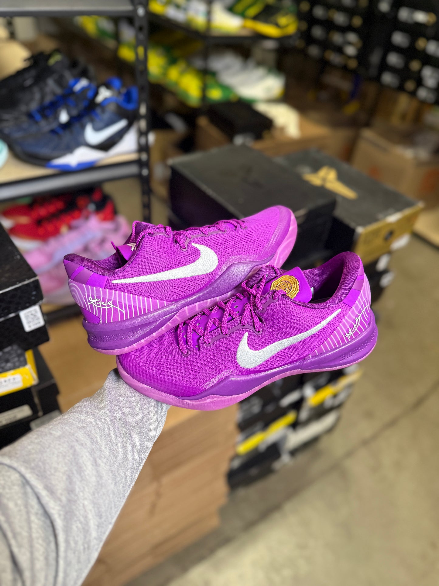 Kobe 8 Eybl (10)