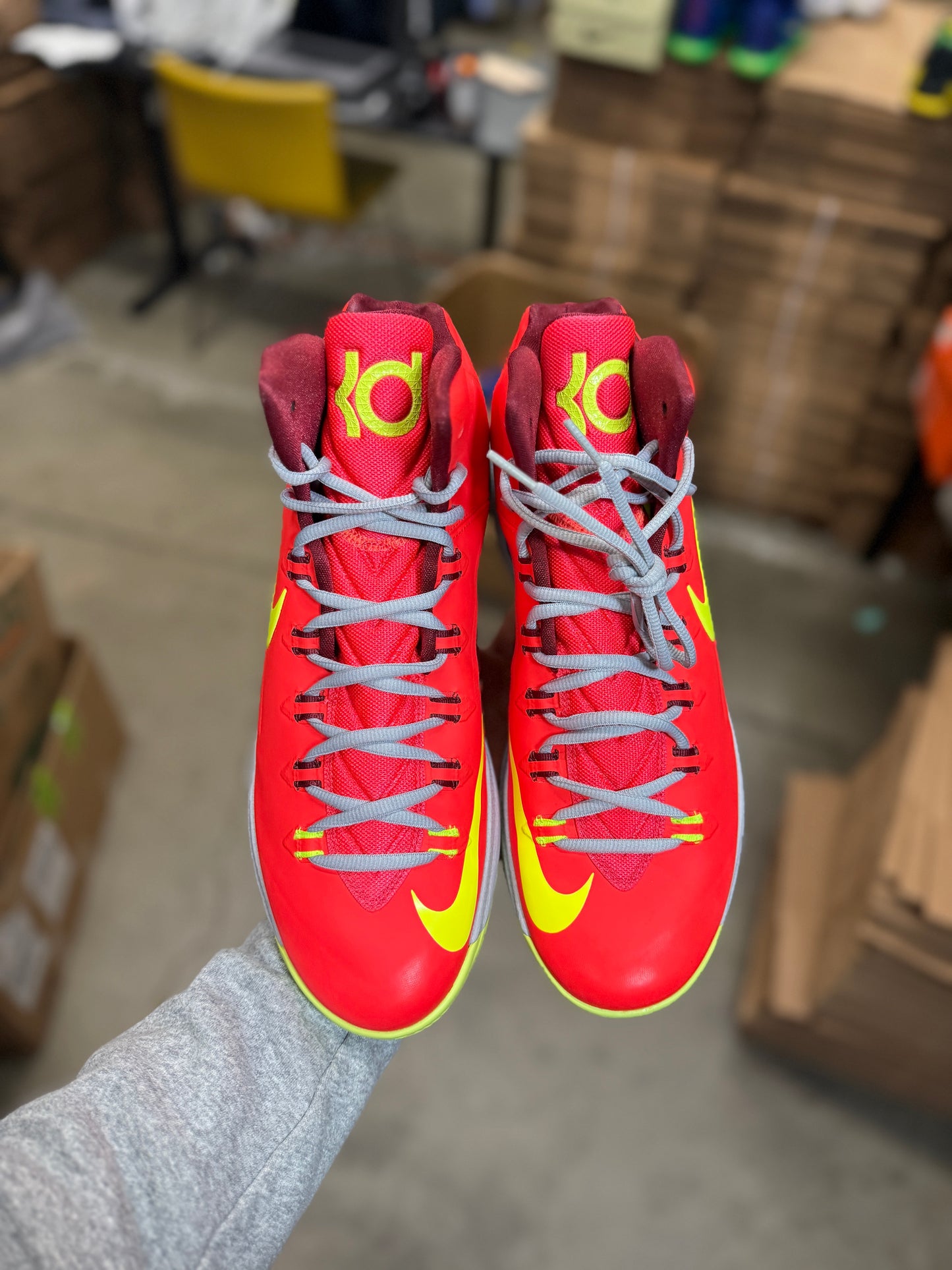 Kd5 DMV (12)
