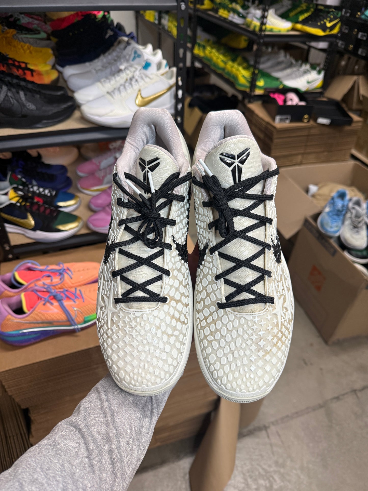 Kobe 6 Allstar (13.5)