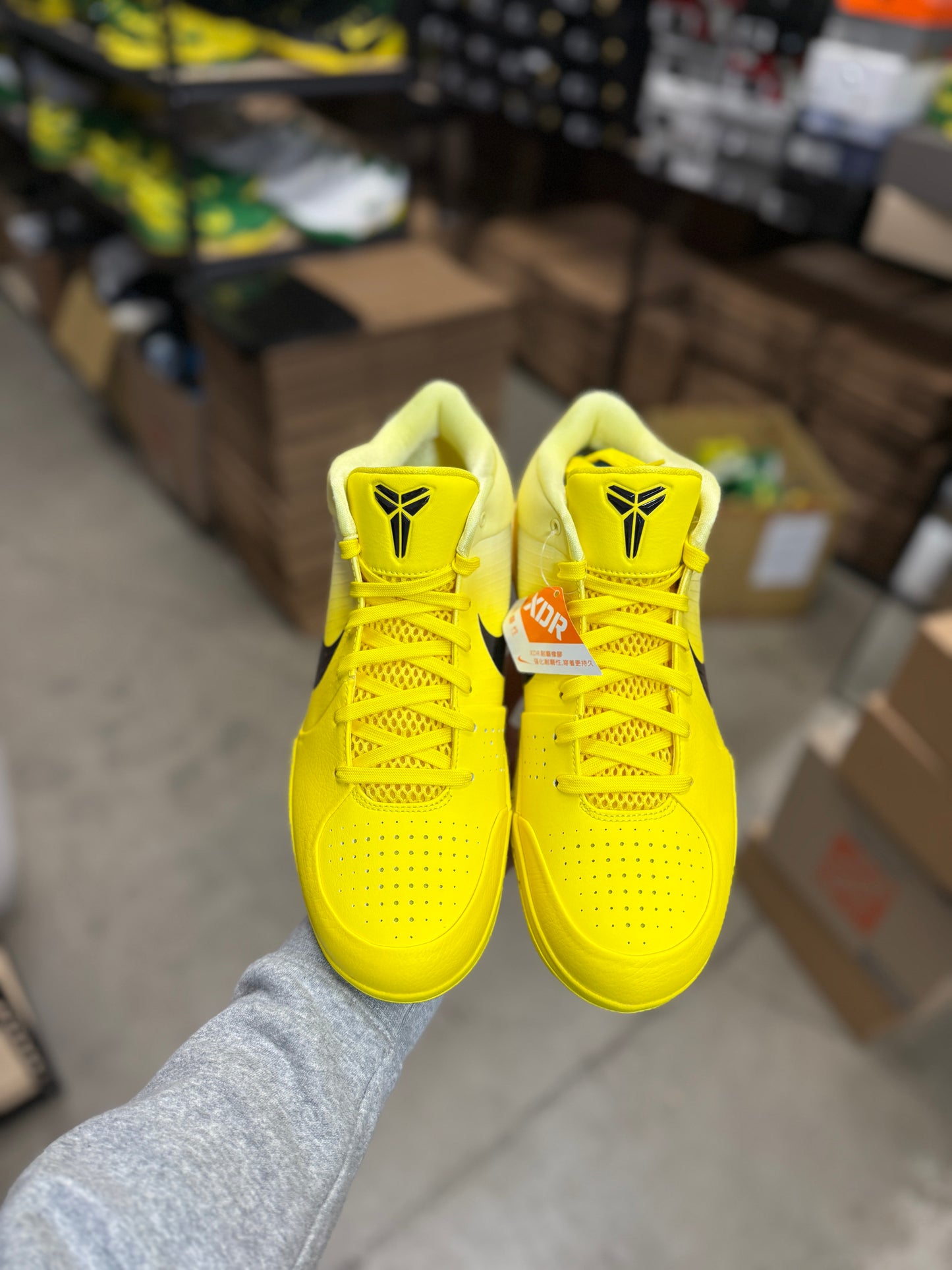 Kobe 4 CHBL (12,14)