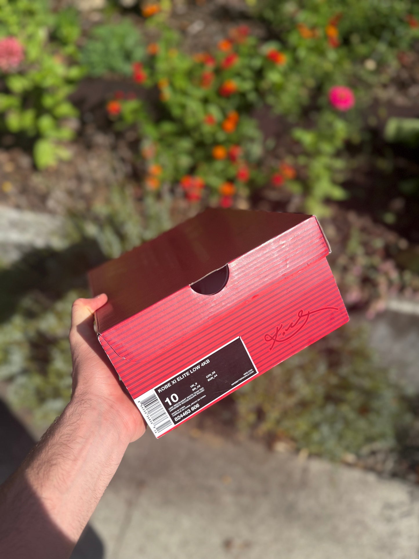 Red horse 11s (size 10)