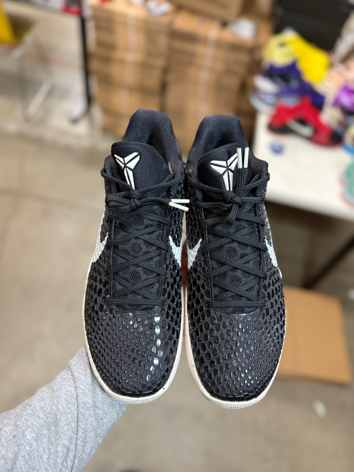 Kobe 6 Trevor Ariza PE (13.5)