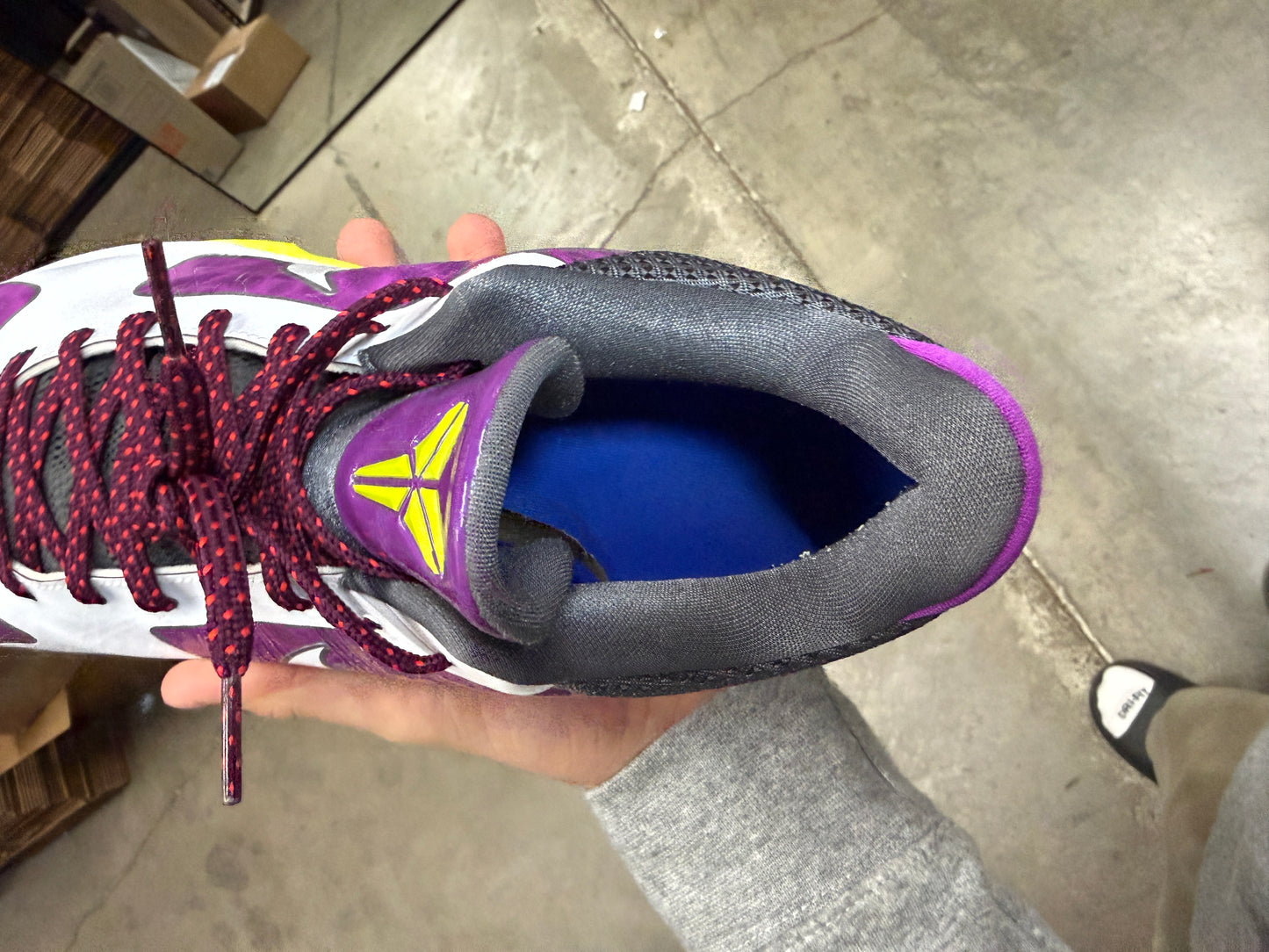 Kobe 5 Dbook PE (14.5)