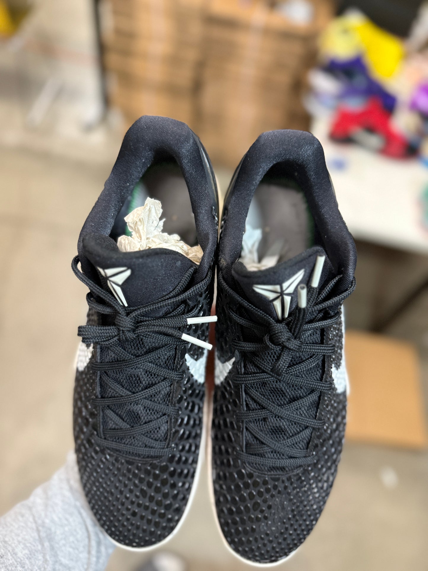 Kobe 6 Trevor Ariza PE (13.5)