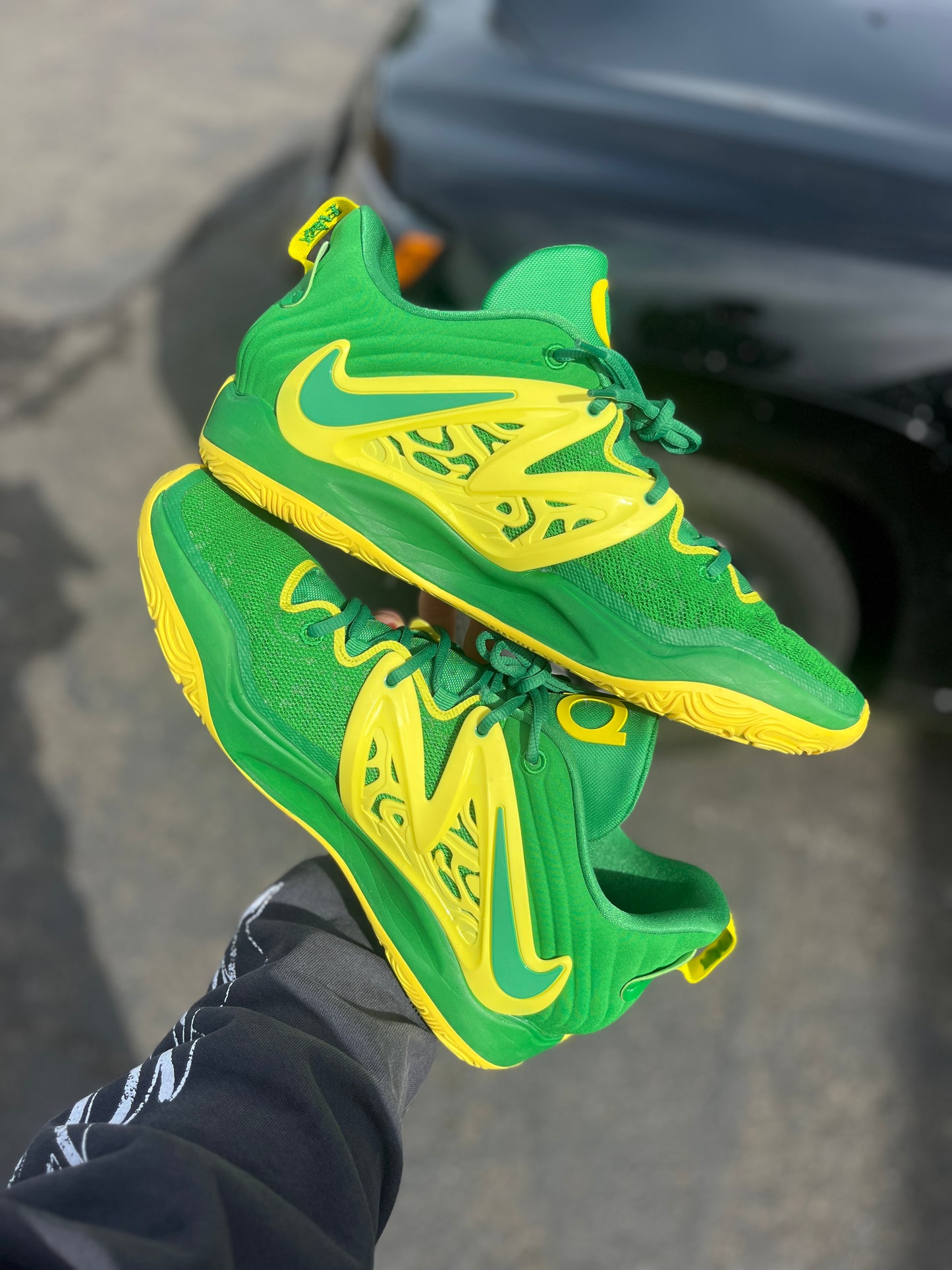 Kd15 Oregon PE (size 15)