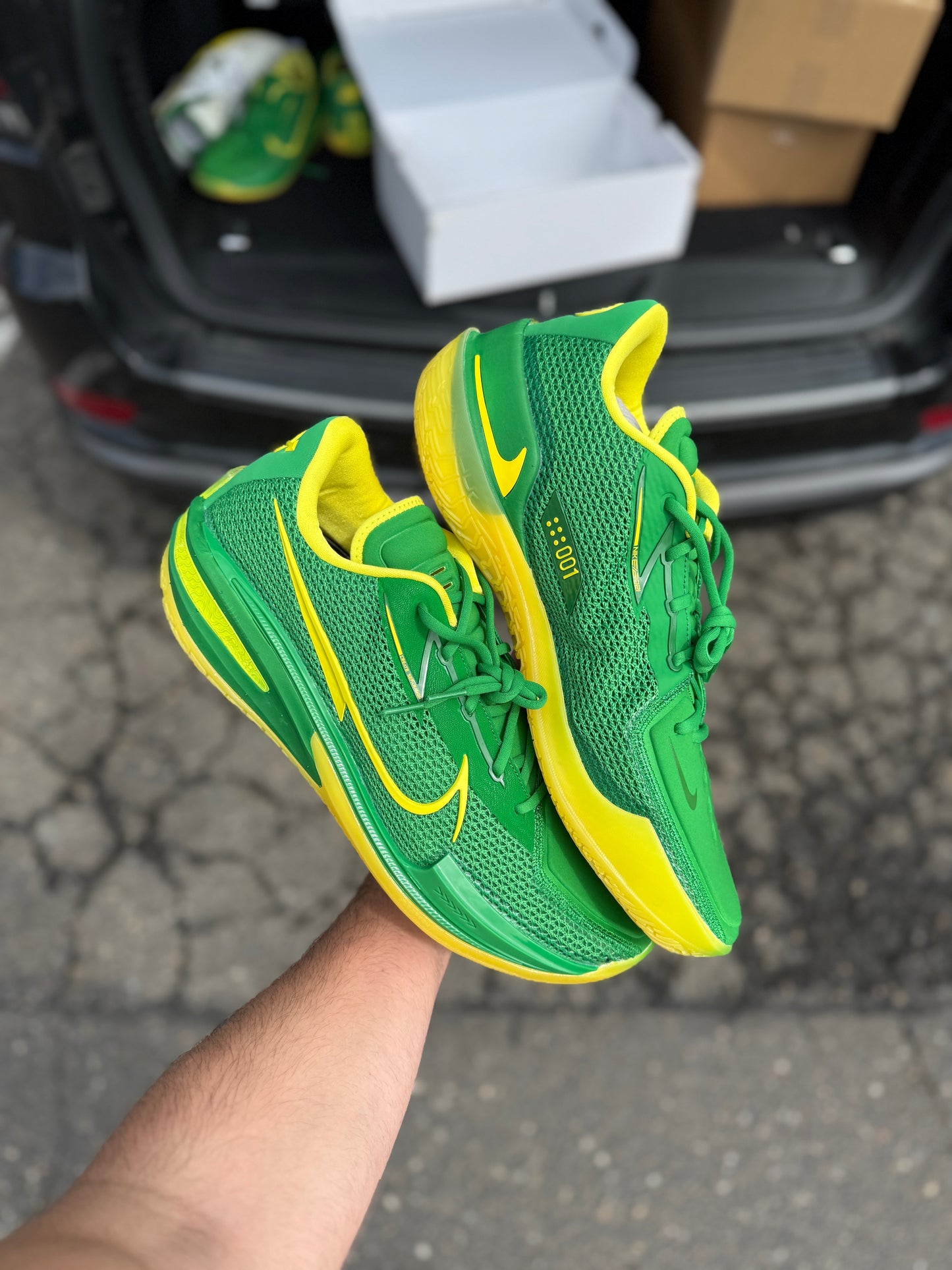 Oregon PE gt cut (size 16)
