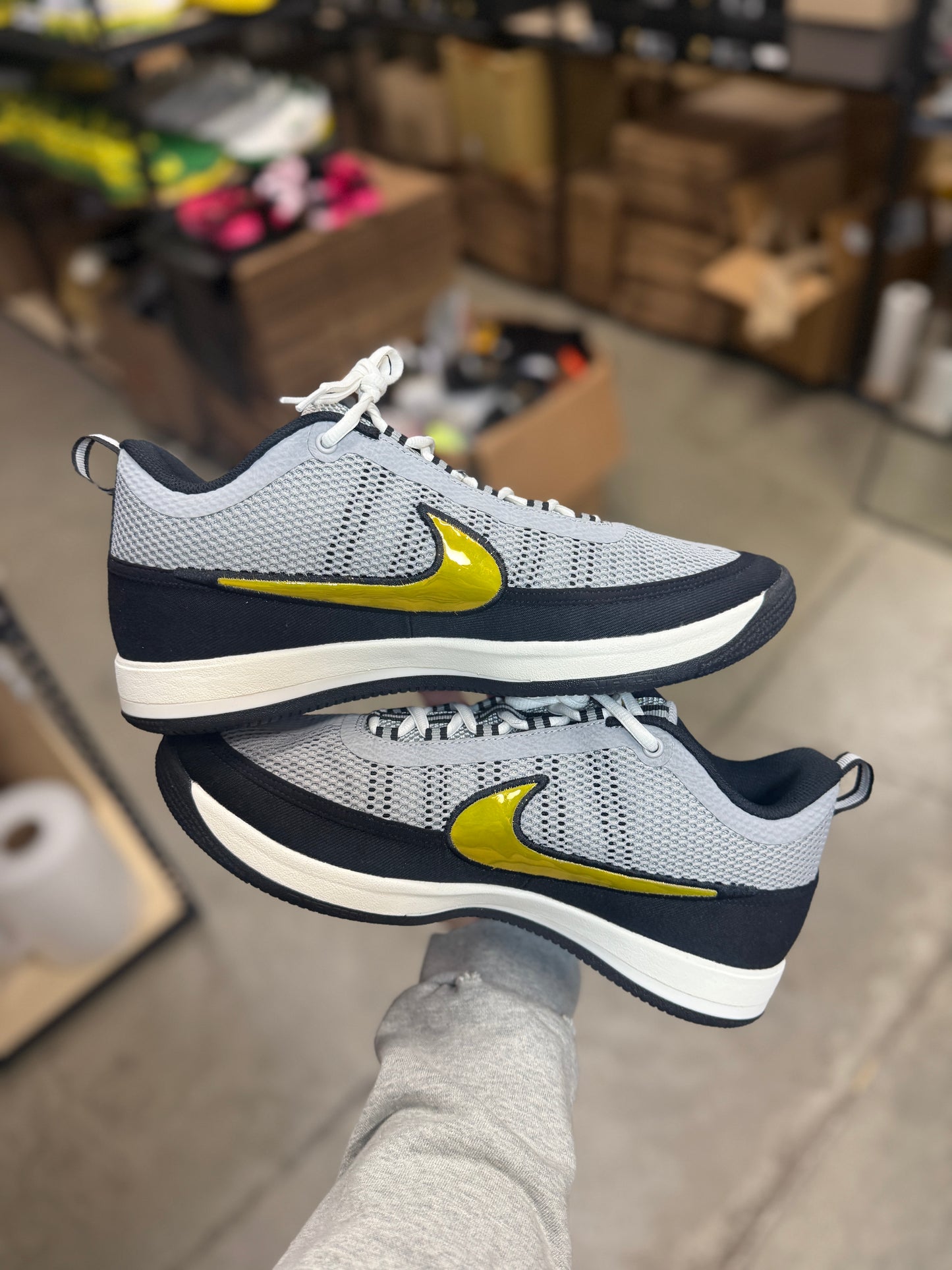 Dbook Oregon PE (11.5,13)