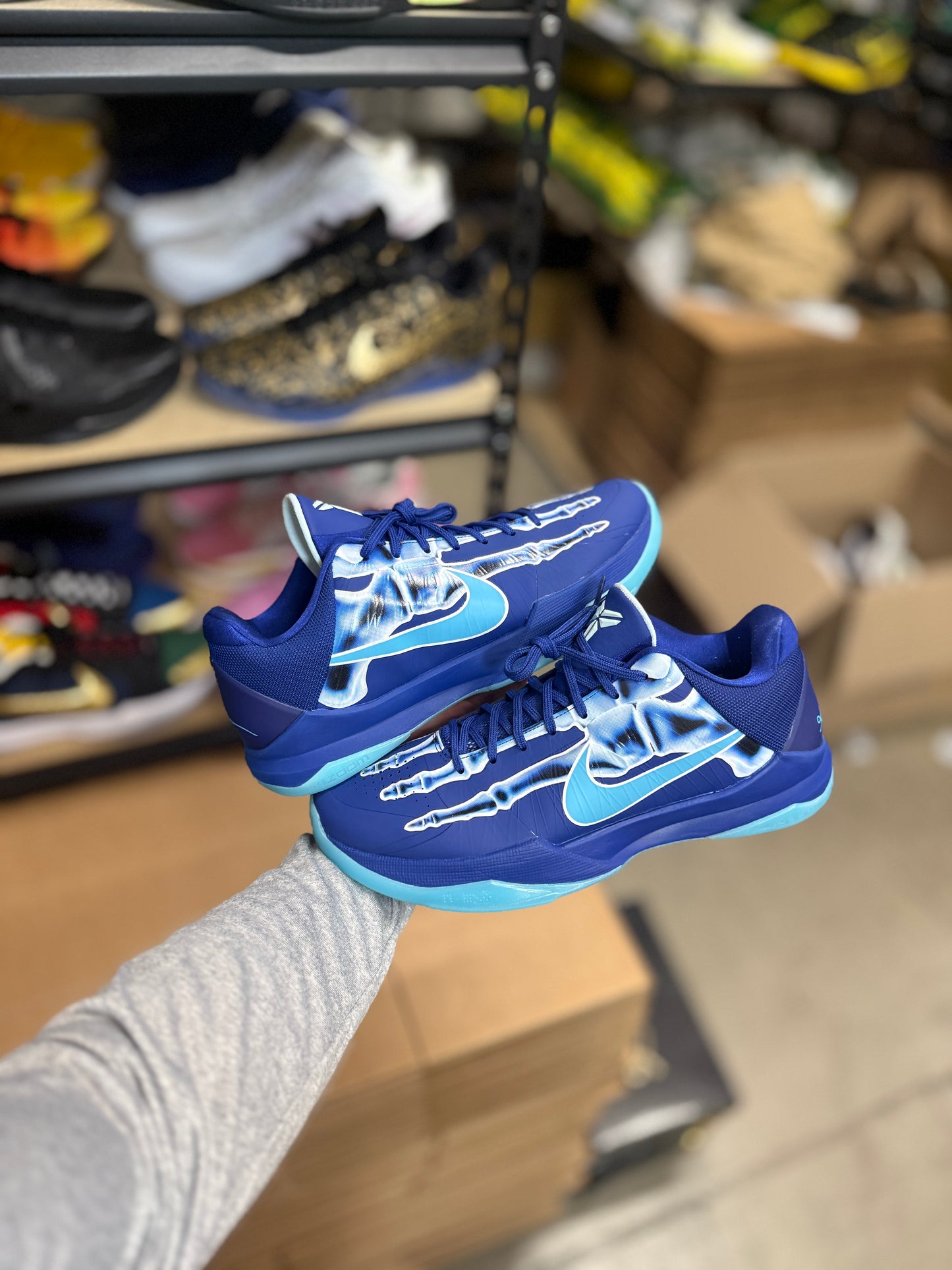 Kobe 5 X-Ray (11.5)