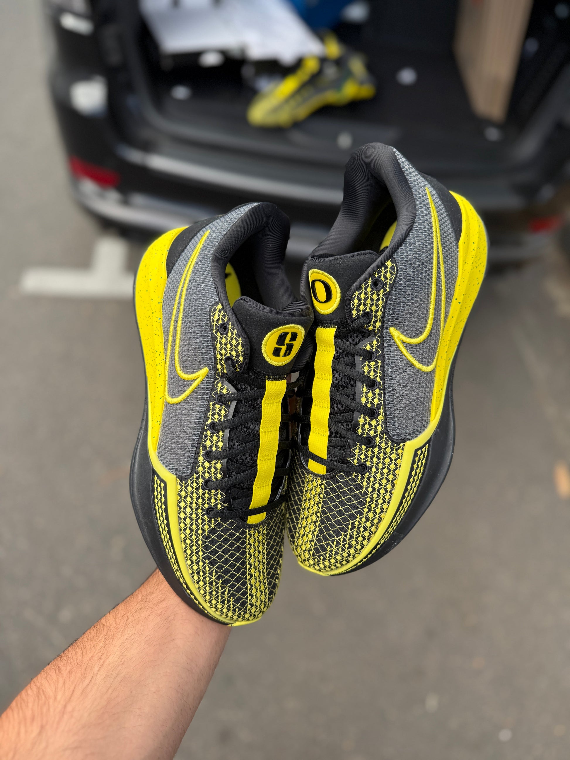 Sabrina 1 Oregon PE (10.5 / 12)