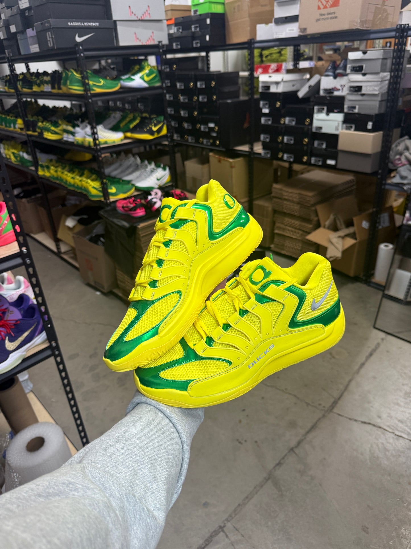 Kd18 Oregon PE (13)